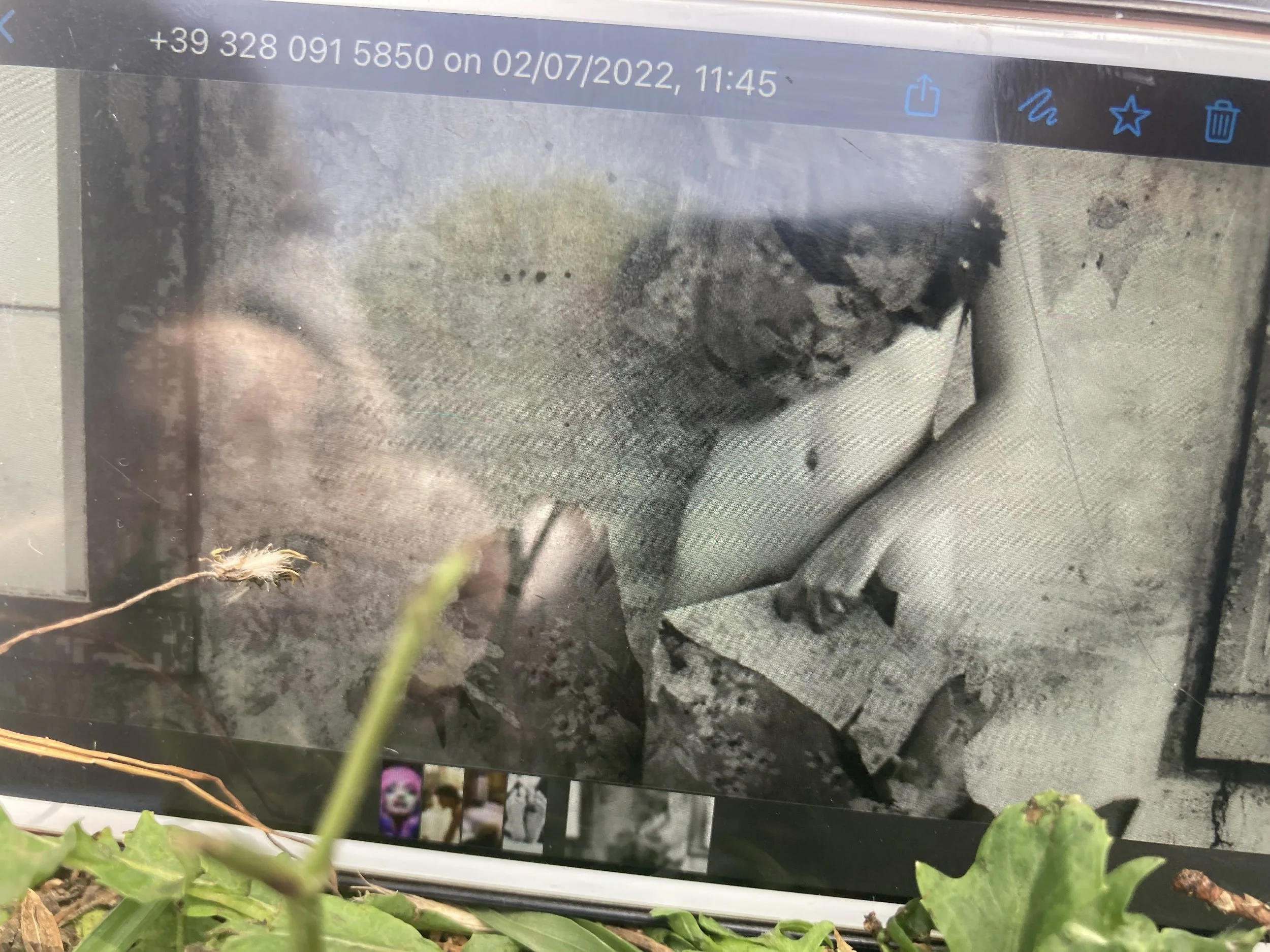 A computer screen displaying a photo of a small animal, possibly a kitten, lying on a surface that looks like a bedsheet or blanket. The photo on the screen is black and white, and the computer interface shows a phone number, date, and time above the image.