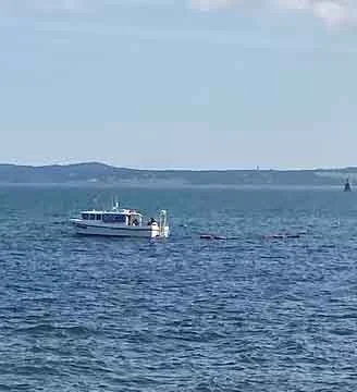 Boat on a large body of water under a clear blue sky.