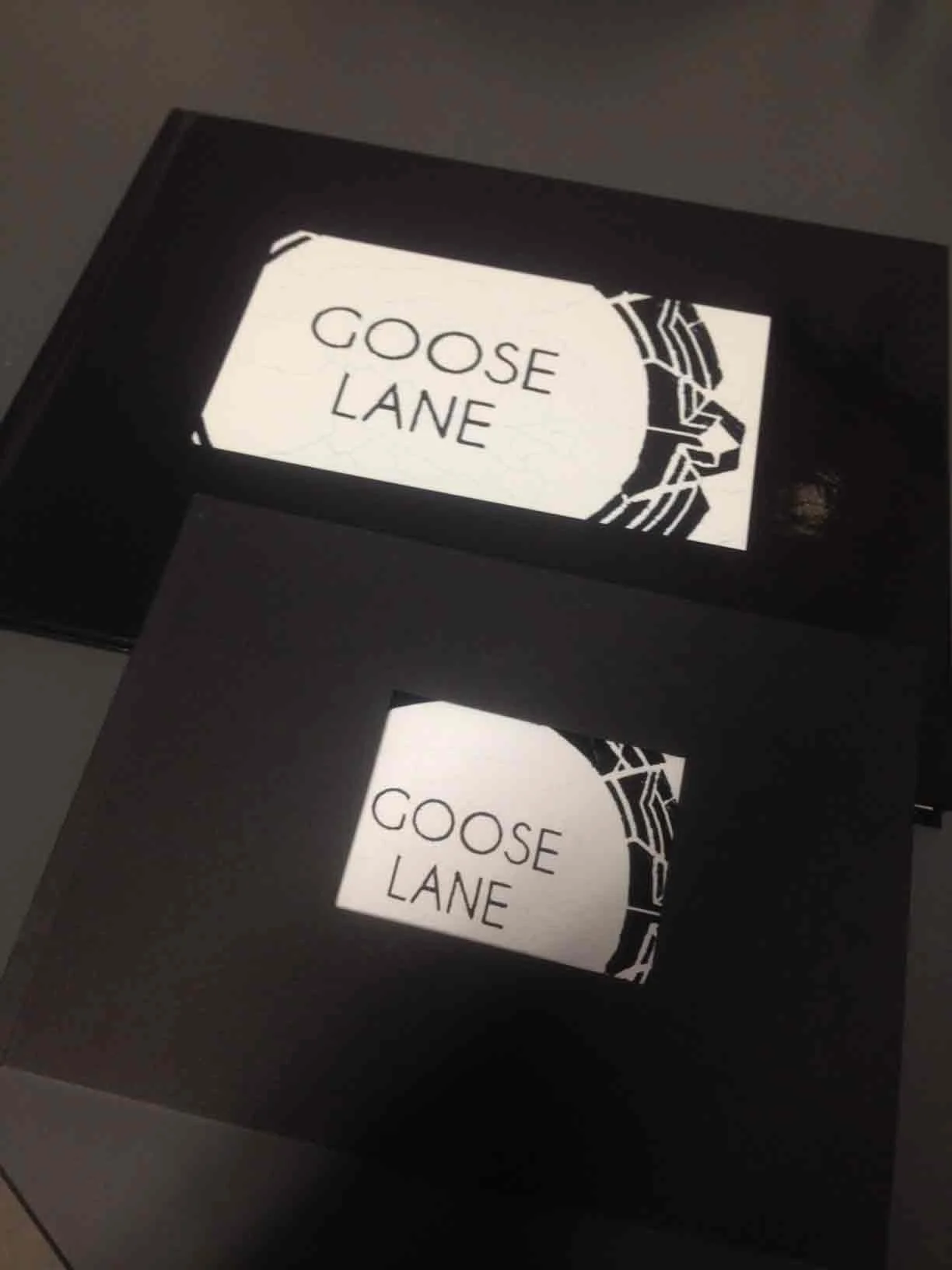 two books titled Goose Lane, mounted on a black structure with a decorative border.