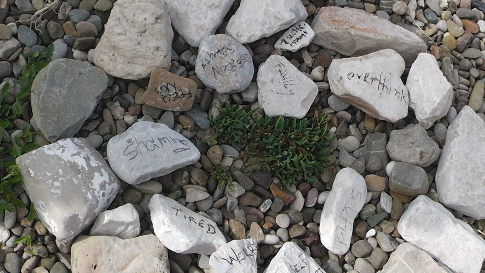 Various rocks, some with handwritten words, scattered among small pebbles and some greenery.