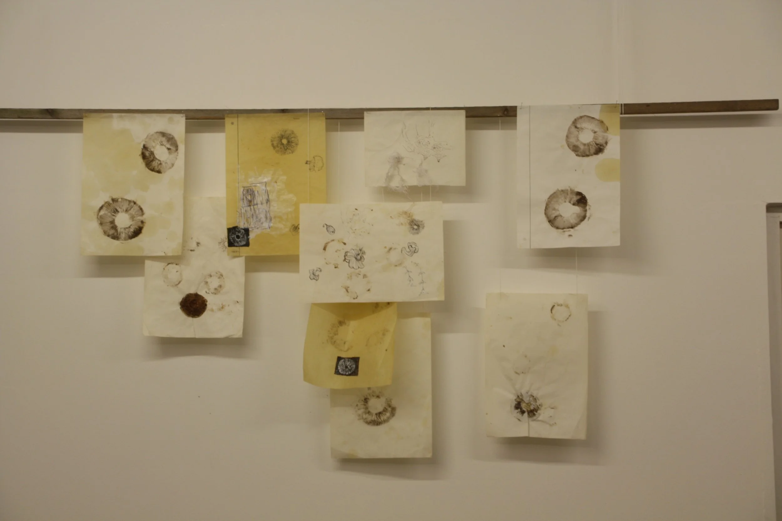 Collection of yellowed, aged paper sheets hanging on a display rail, featuring sketches and drawings of circular objects and various abstract designs.