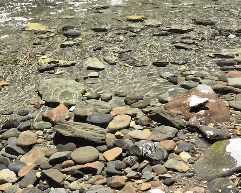 Water calmly ripples over smooth rocks on the bank of a river.