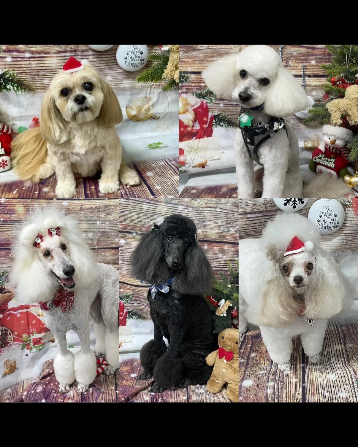 Six dogs dressed in Christmas accessories in front of a festive holiday background.