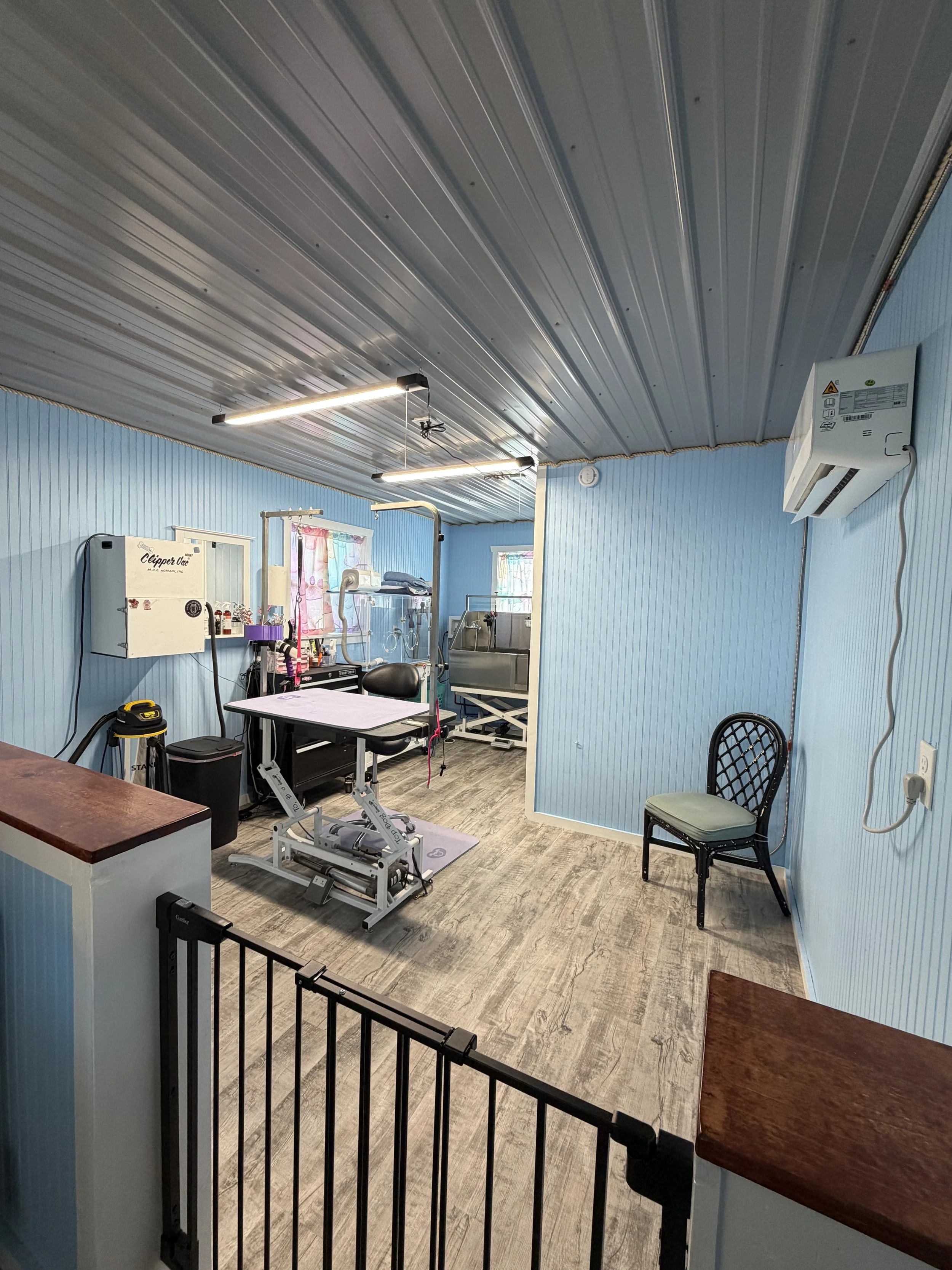 A small pet grooming studio with blue walls, bathing tub for dogs and cats, a grooming table with appropriate tools, a rod iron pet gate to safely secure pets inside. Its pleasantly decorated and thoughtfully created with safety for the pets in mind.