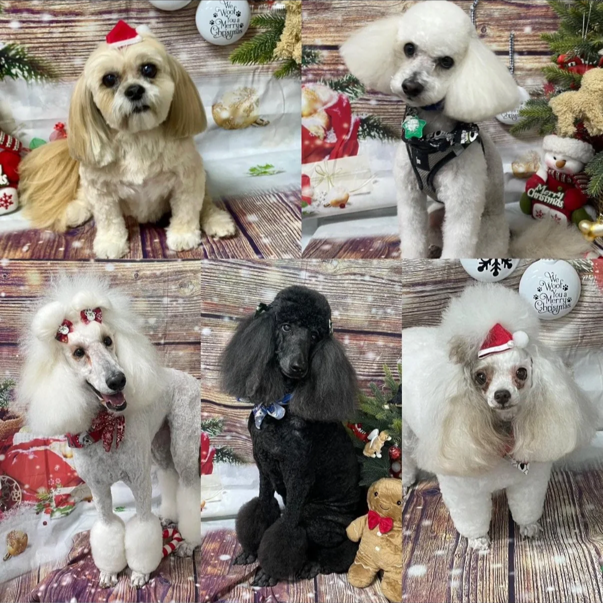 Collage of five dogs dressed in Christmas costumes, posed in front of festive holiday backdrops with Christmas decorations and ornaments.