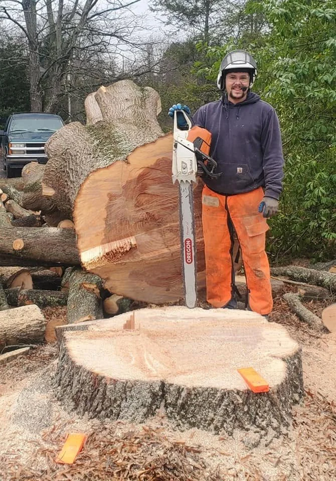 treeguyaction3.jpg