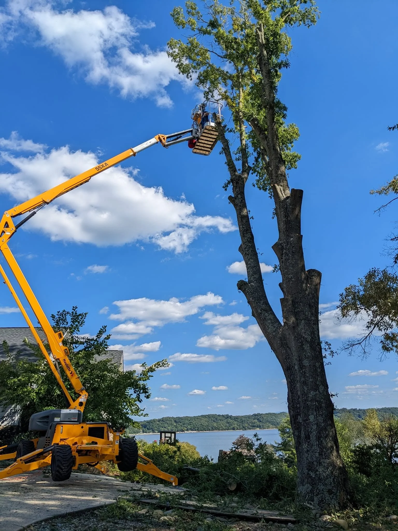 treeguyliftonlake.jpg