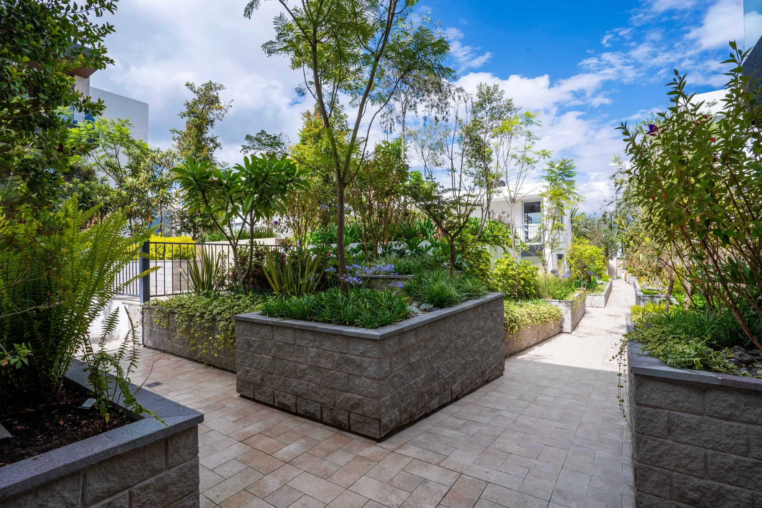 Jardín urbano con plantas en macetas de piedra y sendero de piedra en un día soleado con cielo azul y nubes blancas.