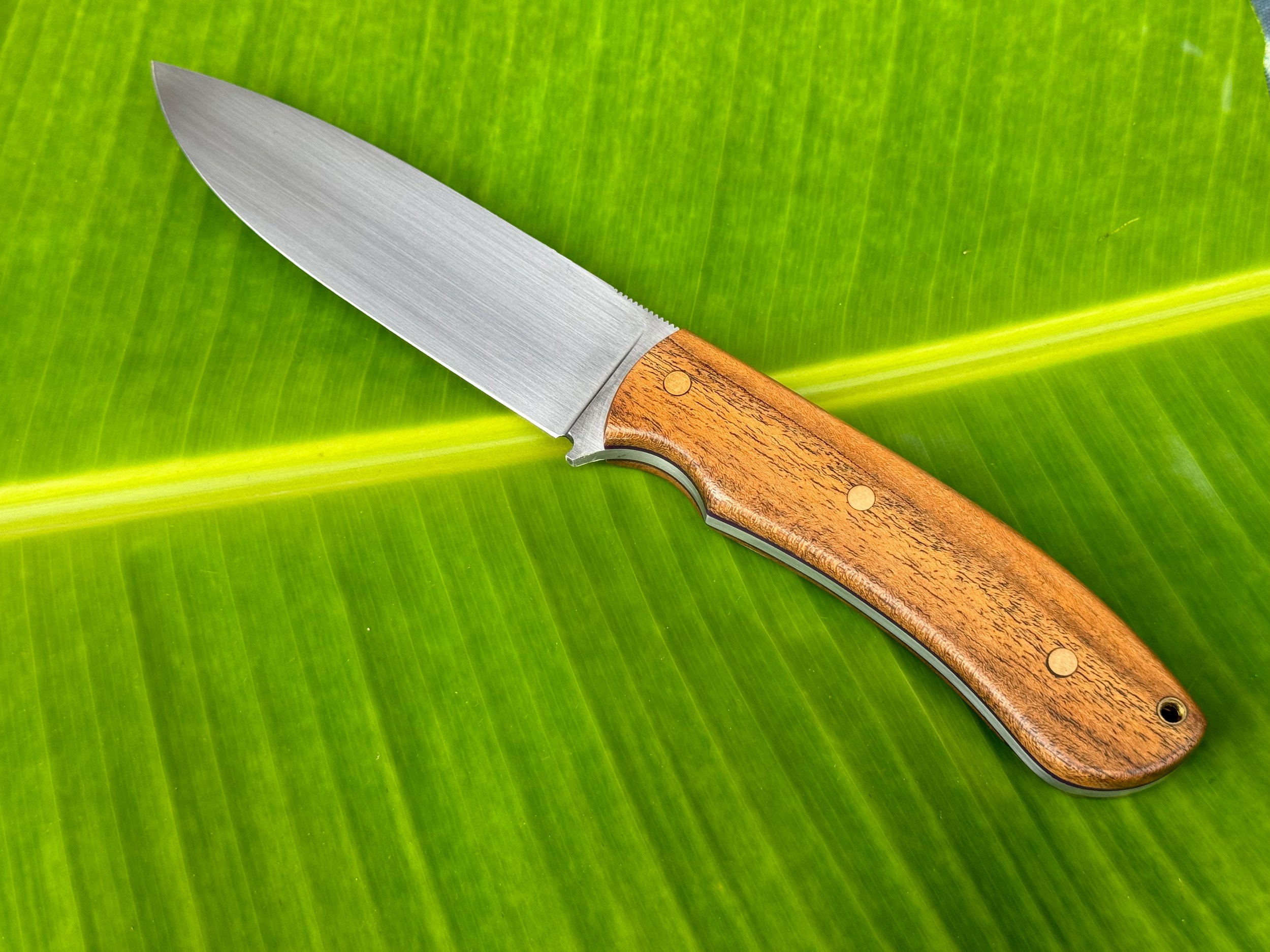 IMG_2101.jpg