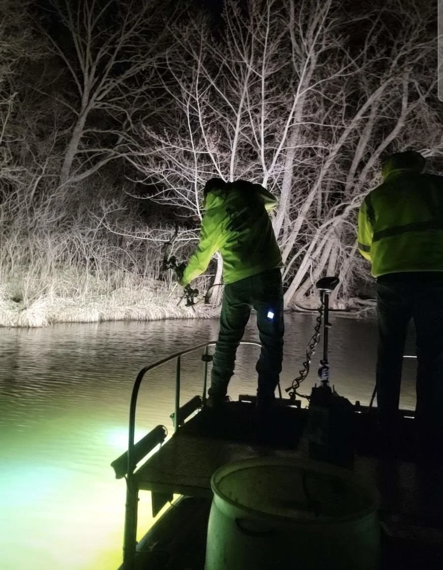Two people in reflective jackets fishing at night from a boat on a river, with trees illuminated in the background.