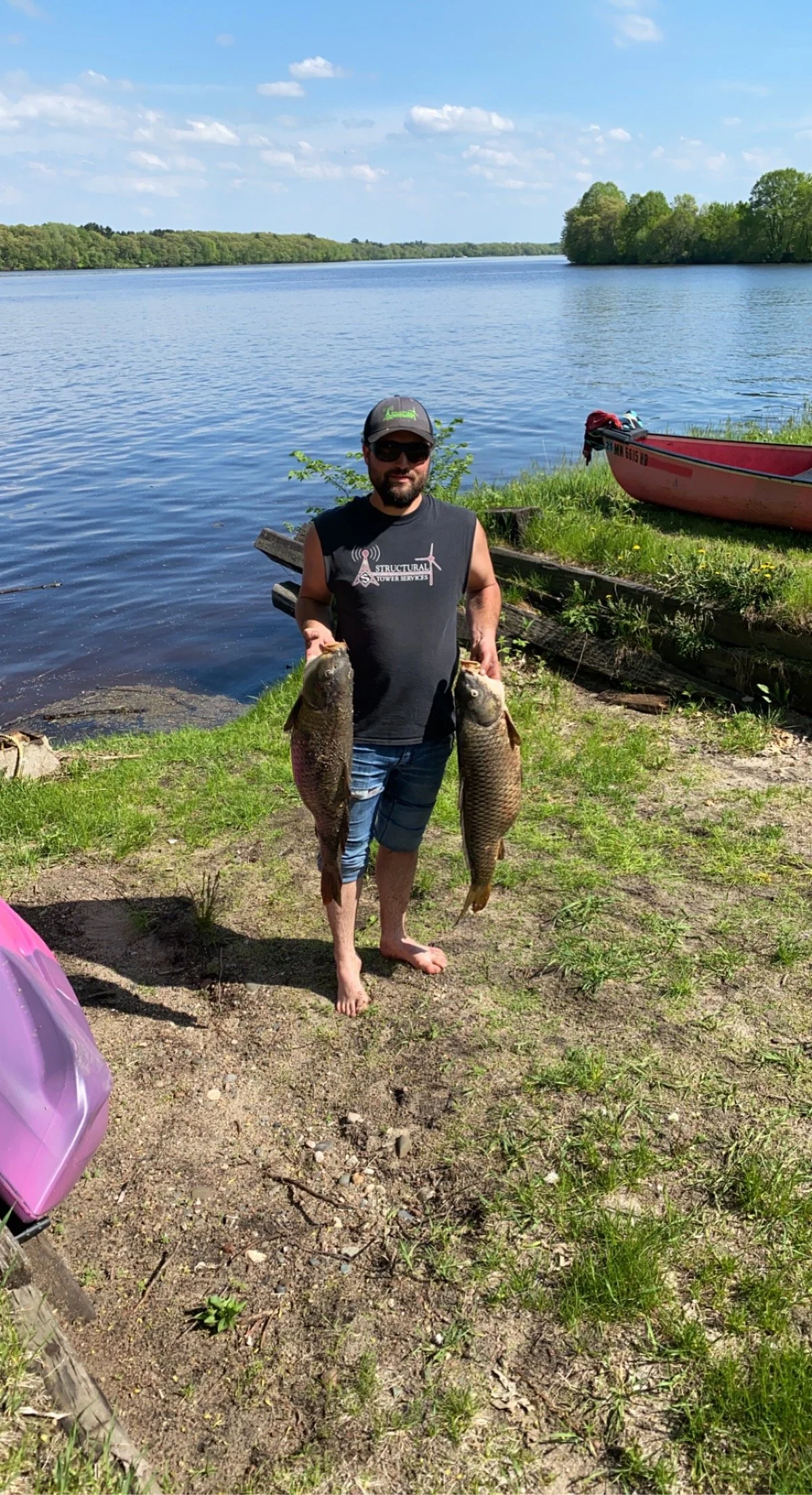 Man holding two large fish by a lakeside on a sunny day, with a boat and trees in the background.