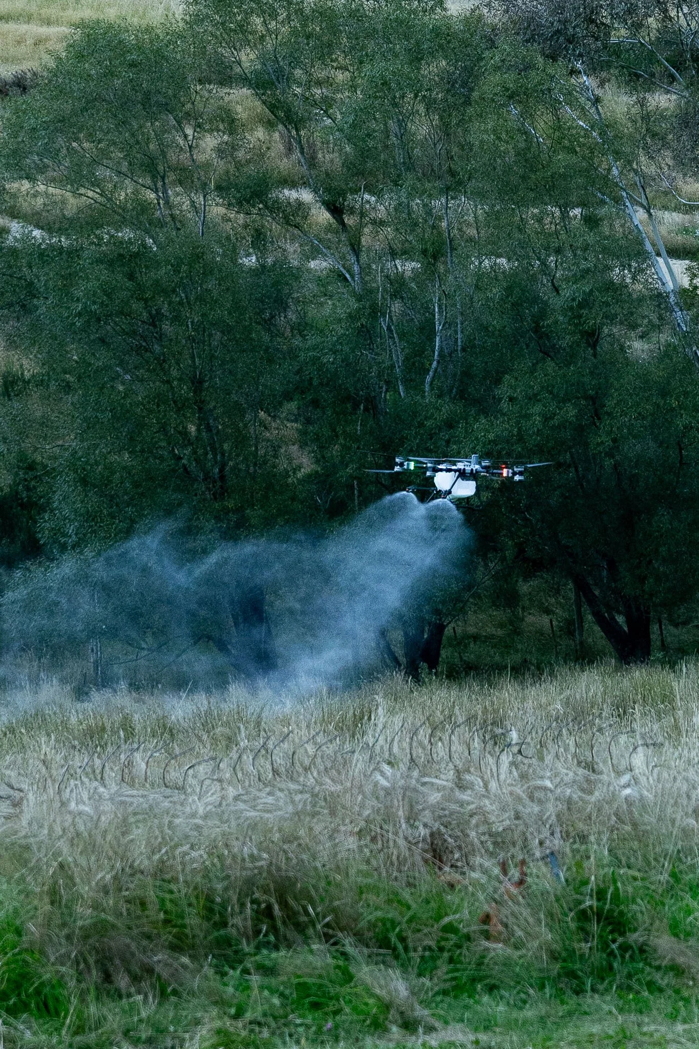 drone-gorse-and-broom-spraying-north-canterbury-26.jpg