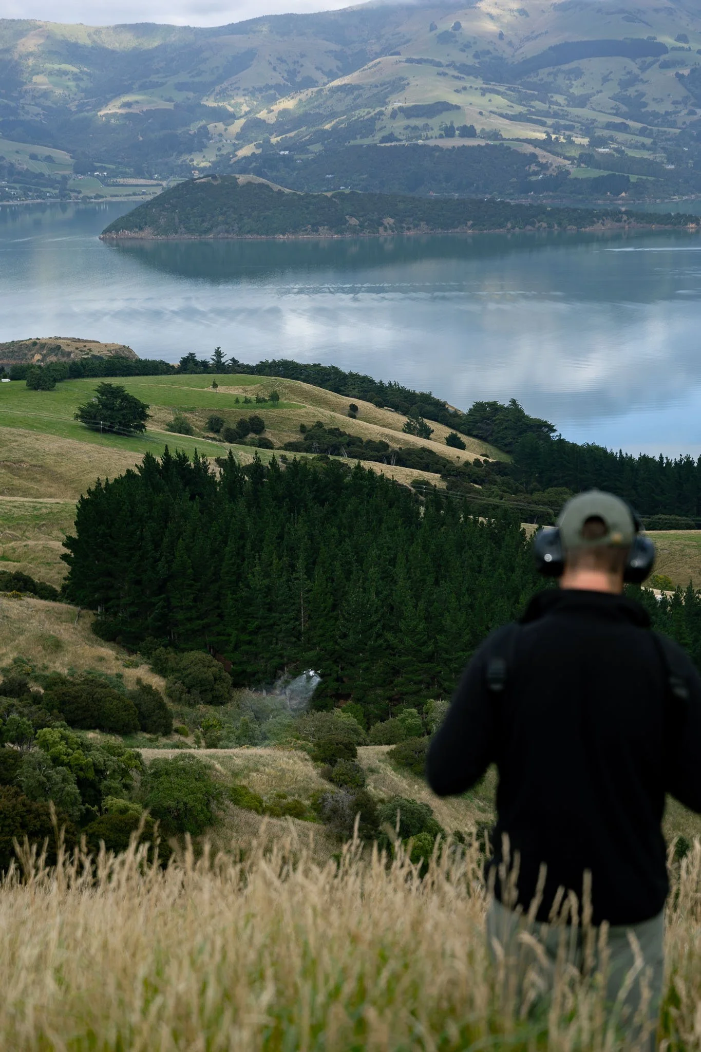 drone-gorse-spraying-north-canterbury-55.jpg