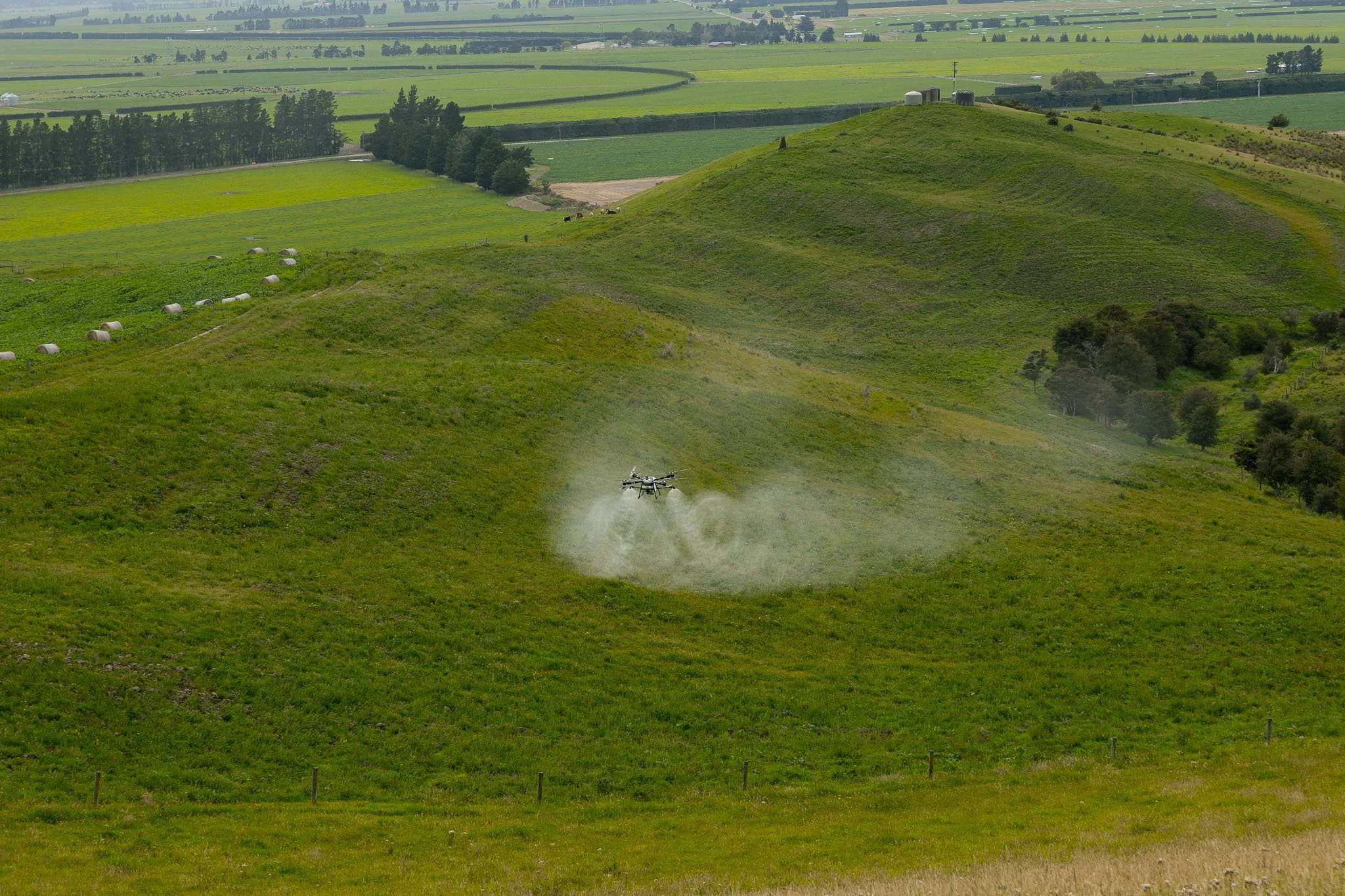 drone-spraying-north-canterbury-23.jpg