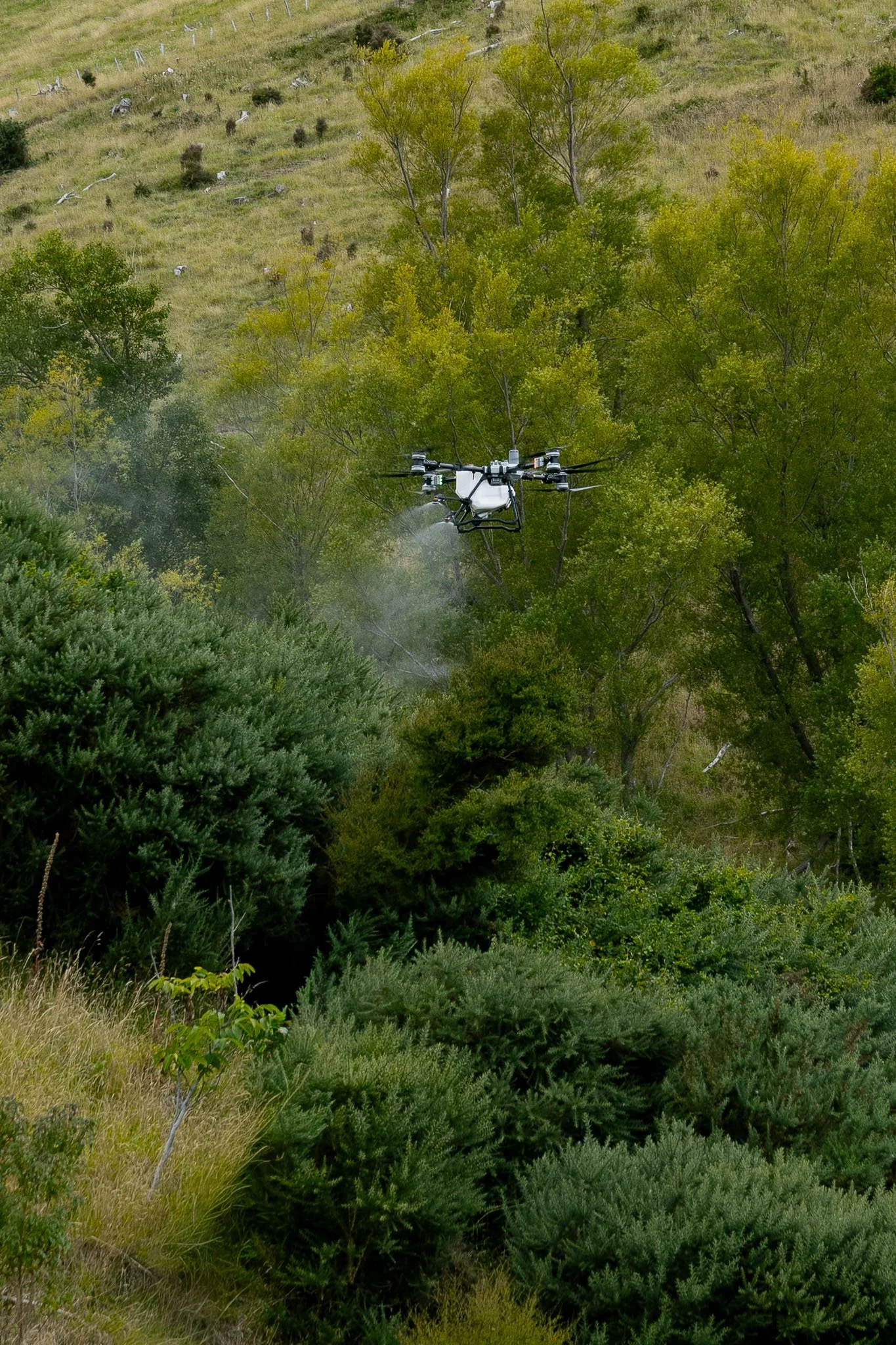 drone-gorse-spraying-north-canterbury-97.jpg