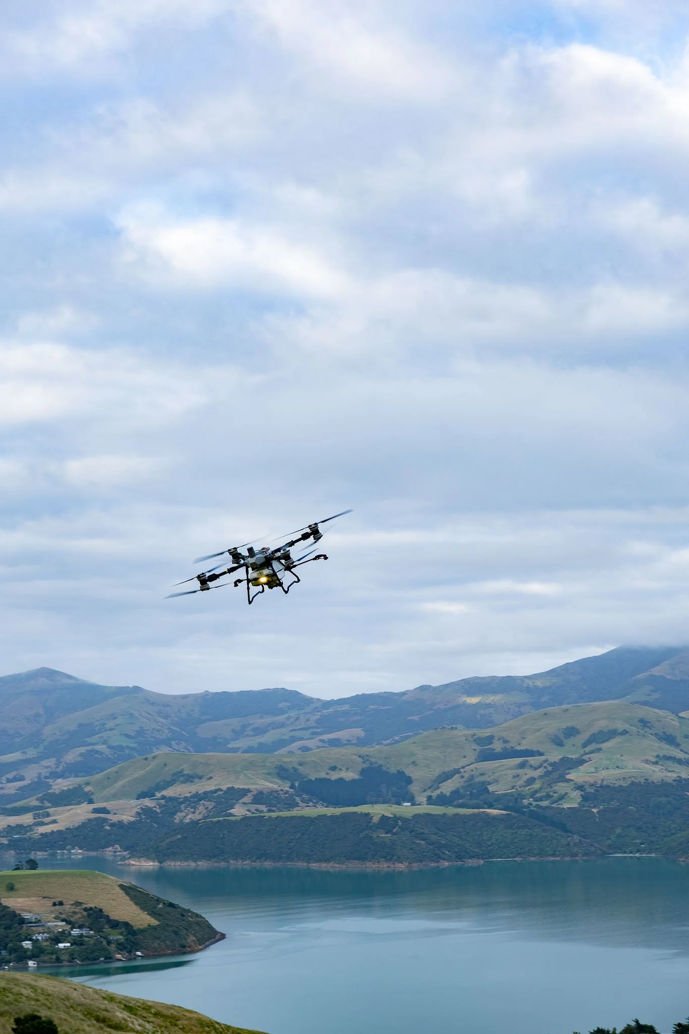 drone-gorse-spraying-north-canterbury-37.jpg