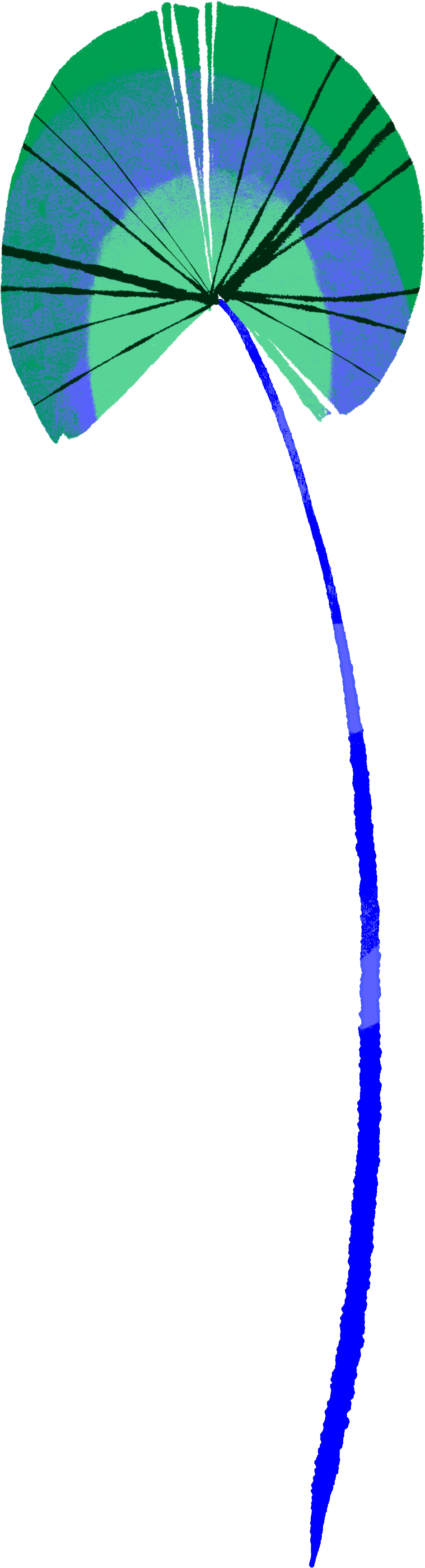 A data visualization chart with radial lines and color gradients in blue and green, showing distorted patterns and uneven data plotting.