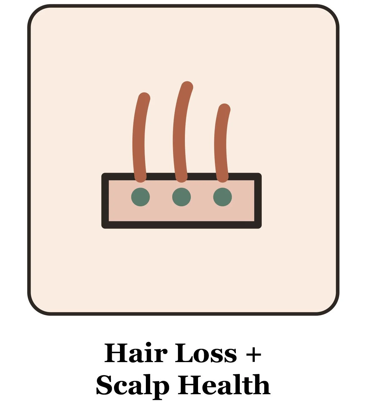 Illustration of hair follicles with three strands of hair, labeled with the text "Hair Loss + Scalp Health."