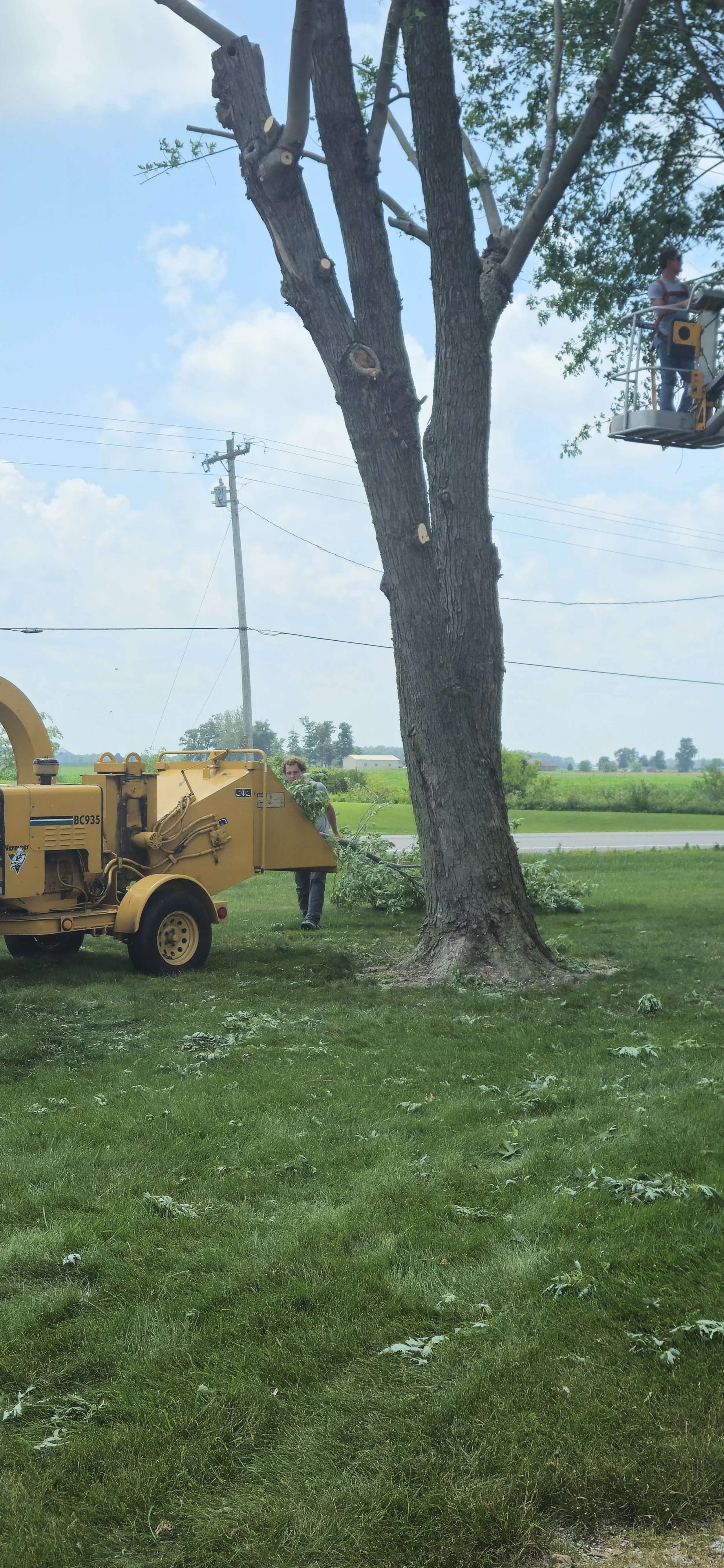 A person is cutting down a tall, thick tree with a wood chipper machine. There is another person on the right in a lift working on the tree, and open fields with a few buildings in the background under a partly cloudy sky.