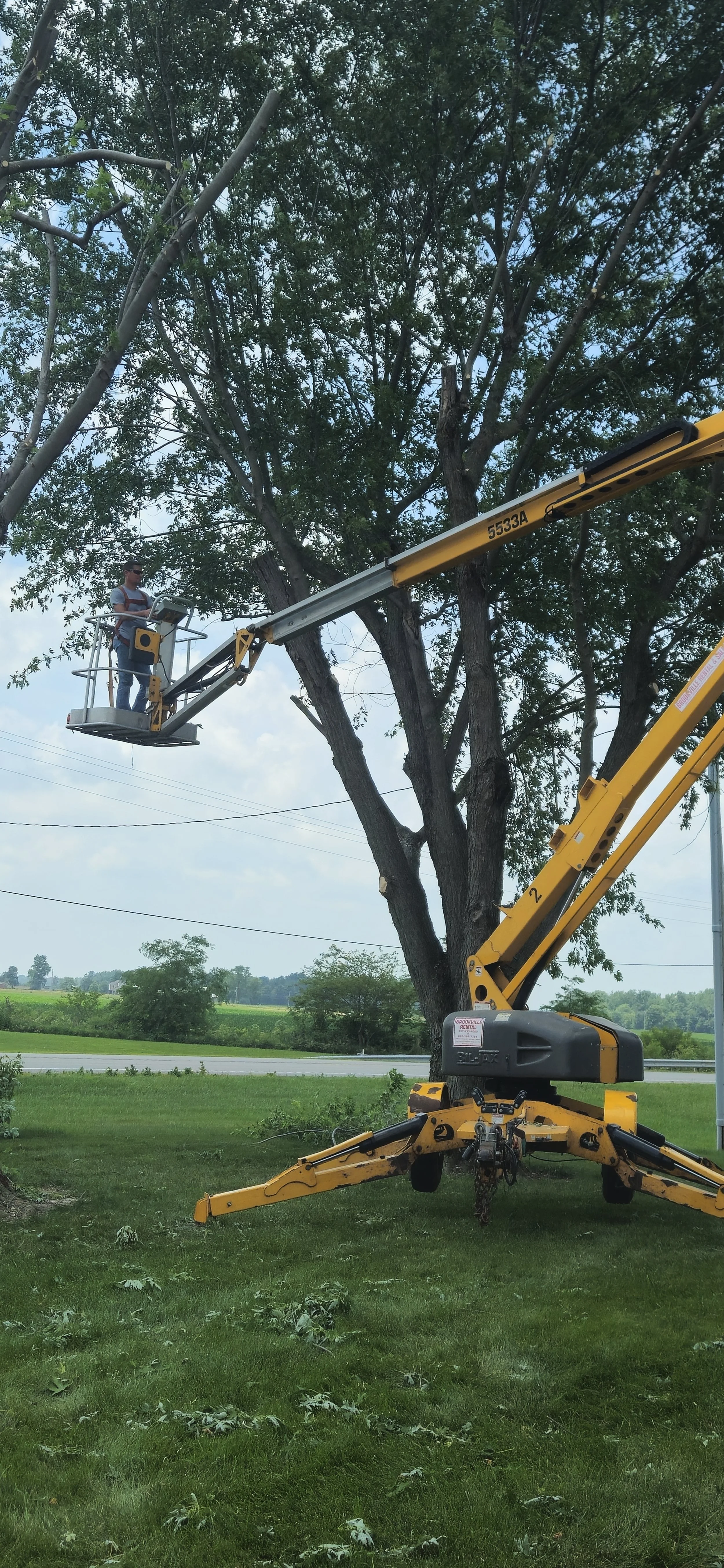A person operating a cherry picker lift trimming a tree in a grassy area.