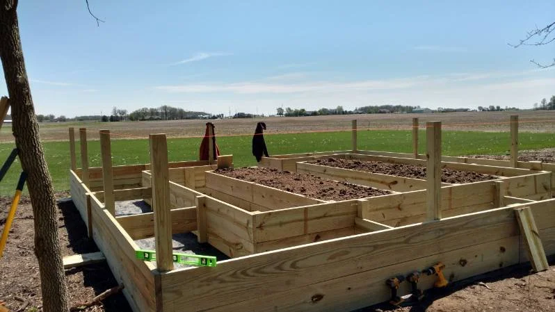 Construction of wooden garden beds outdoors on a sunny day with a clear blue sky.