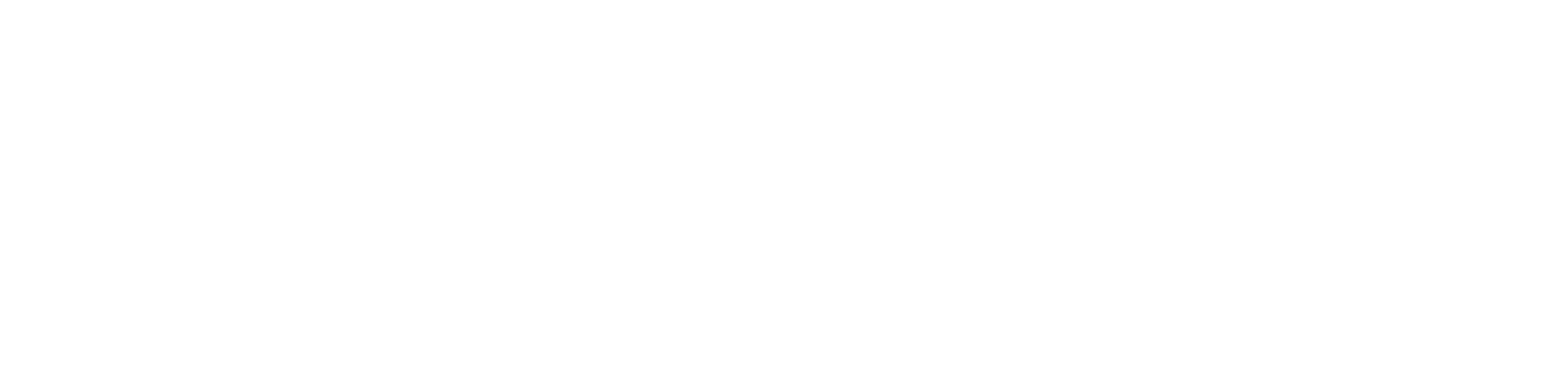 EV_LOCKUP_HORIZONTAL_W (1).png