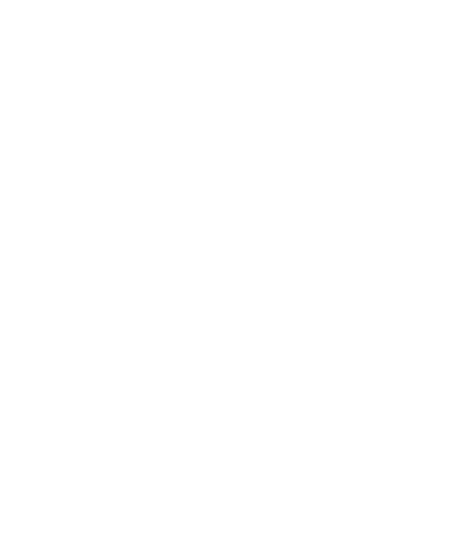 Save the Boundary Waters logo.png
