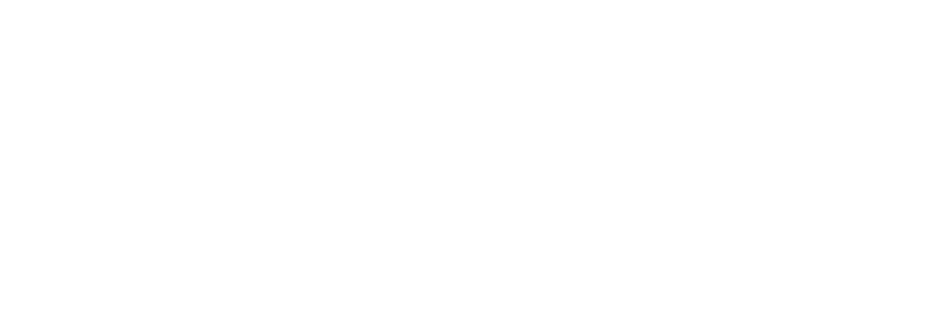 Wild Montana