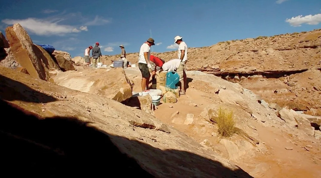 Dinosaur Hunter - DCI Productions