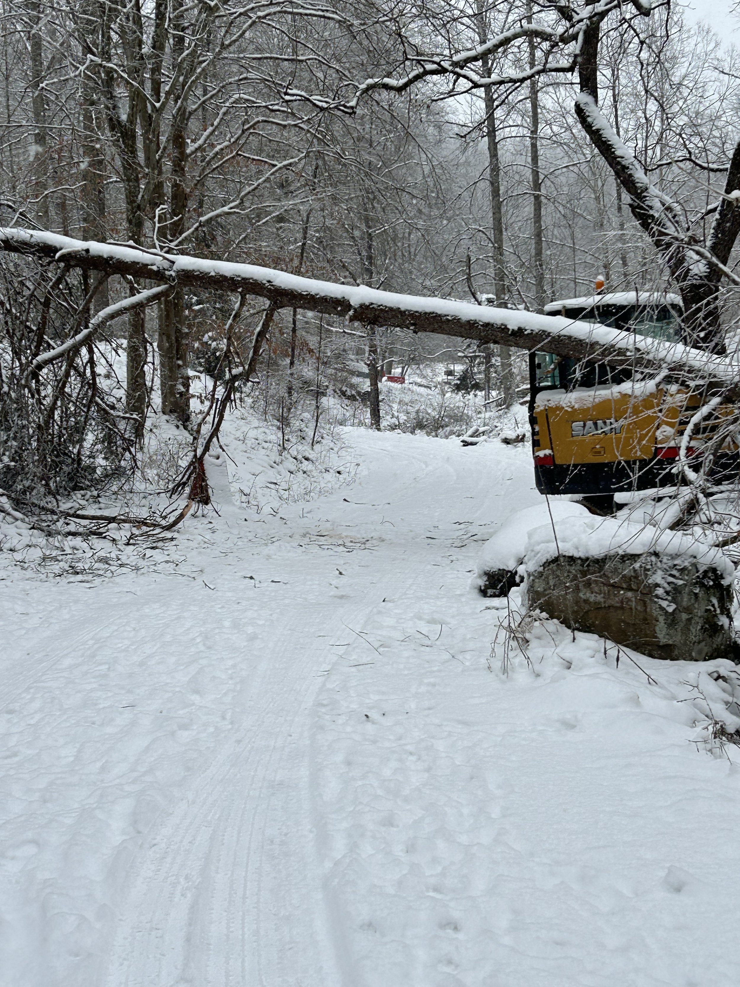 Homeowner tried leaving their home to be met with a pine tree that had uprooted and landed on their brand new machine.