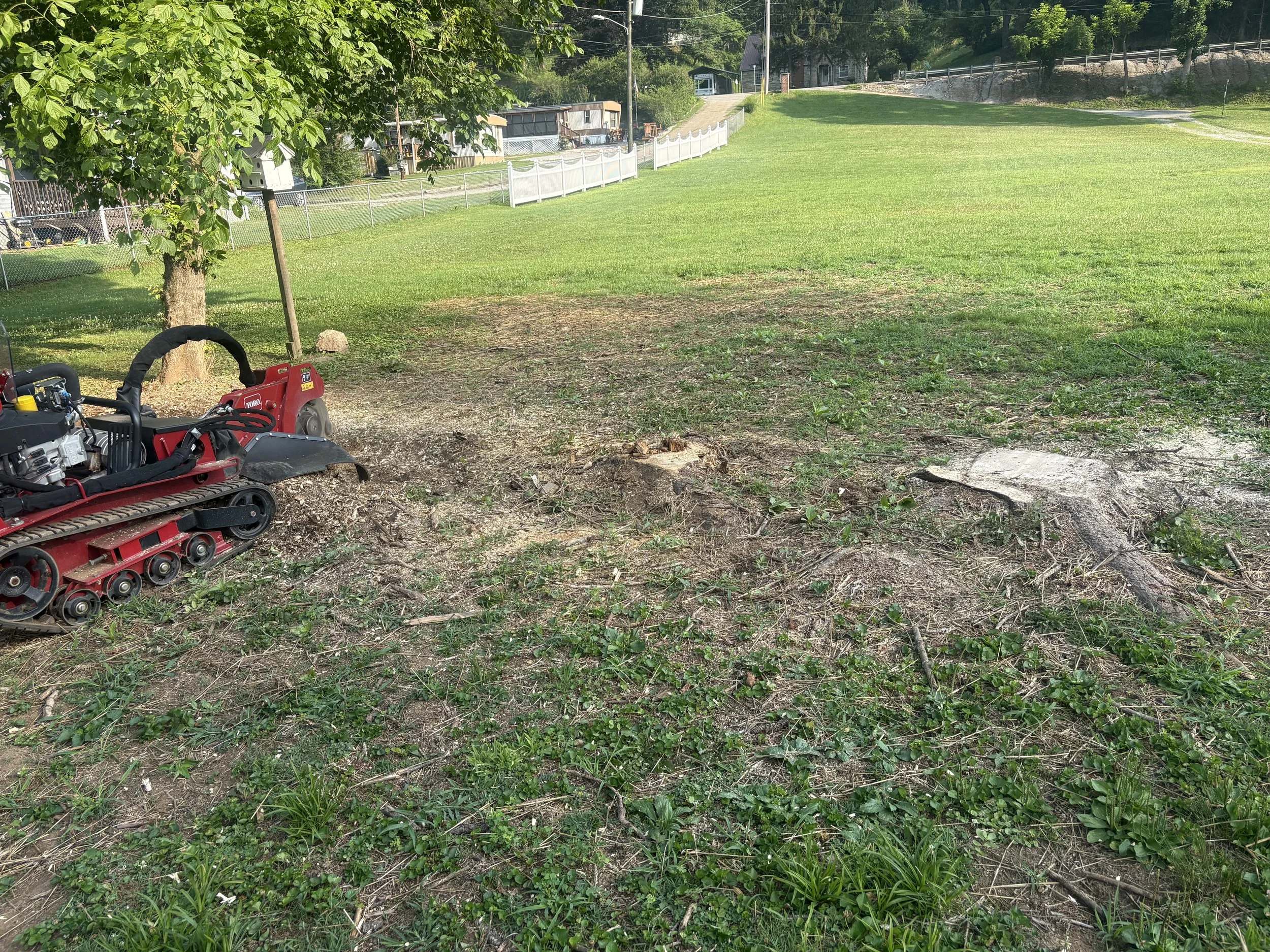 Professional Stump Grinding