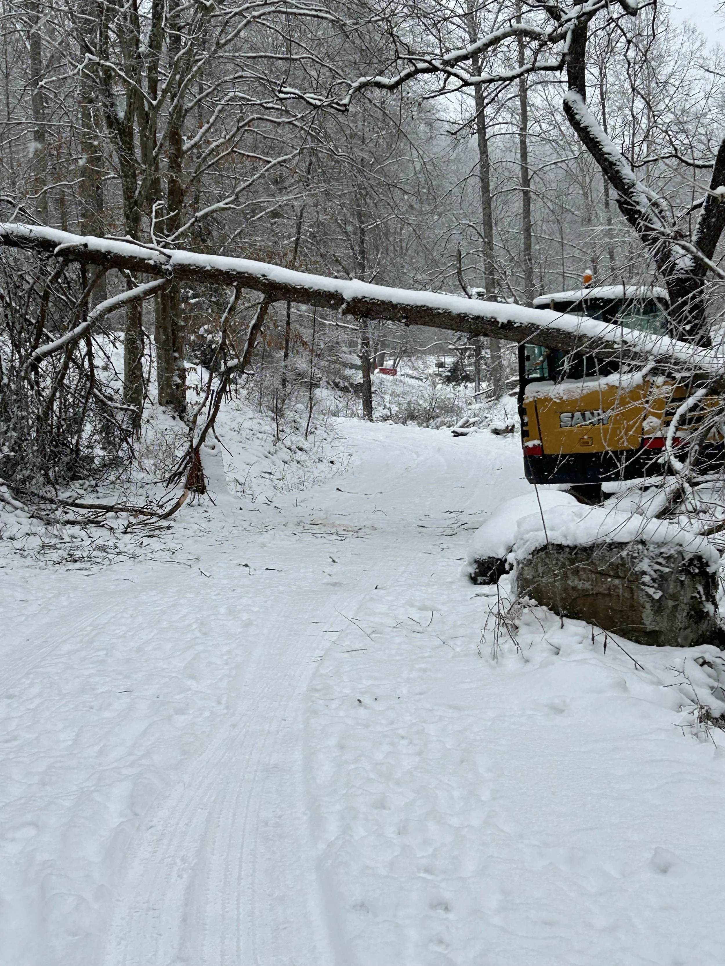 Elkview, WV — Uprooted Pine, Before
Storm-damaged pine uprooted and blocking the homeowner’s driveway.
