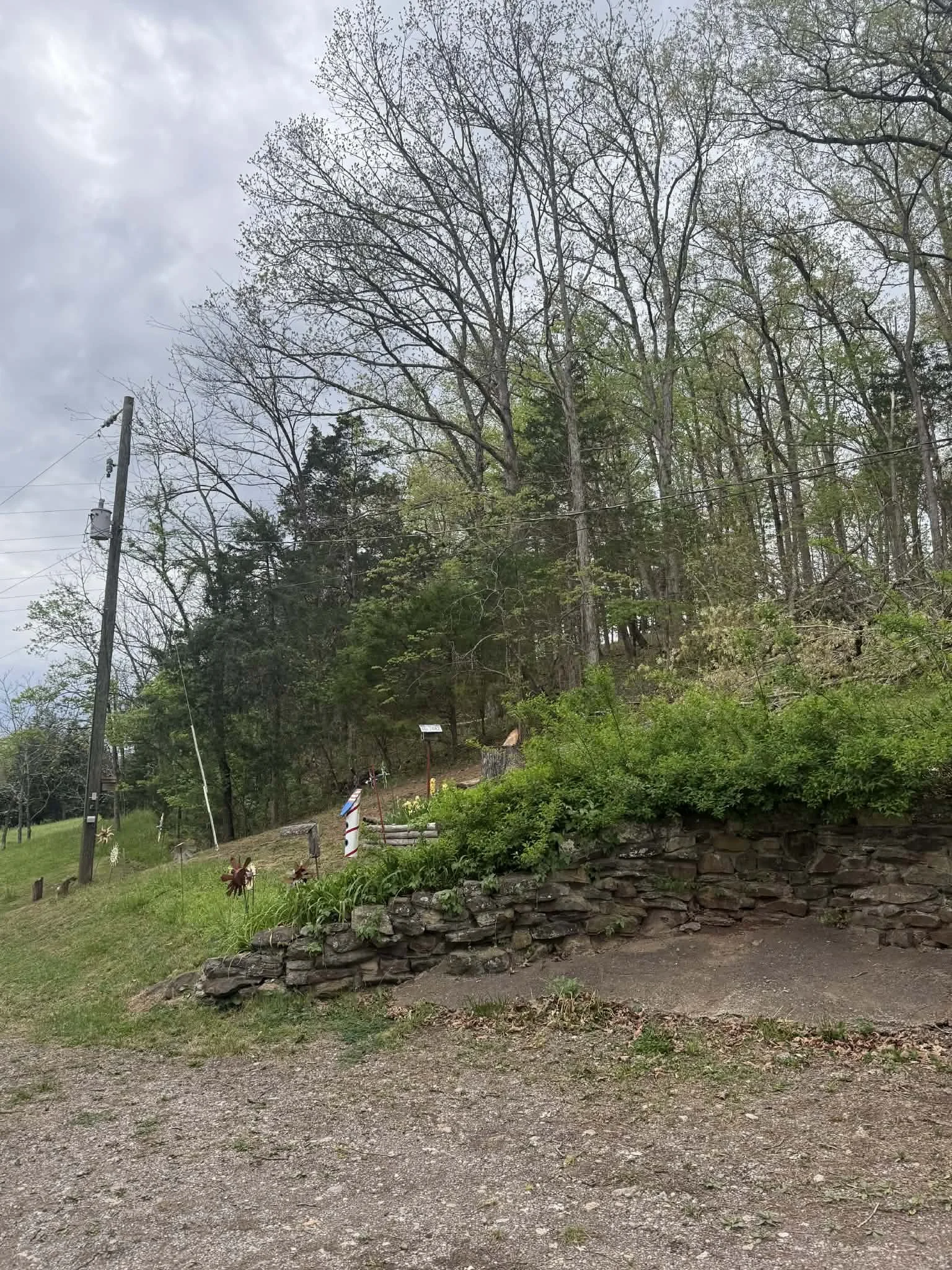 Buffalo, WV — Dead Walnut Removal, After
Site after the dead walnut was safely removed.