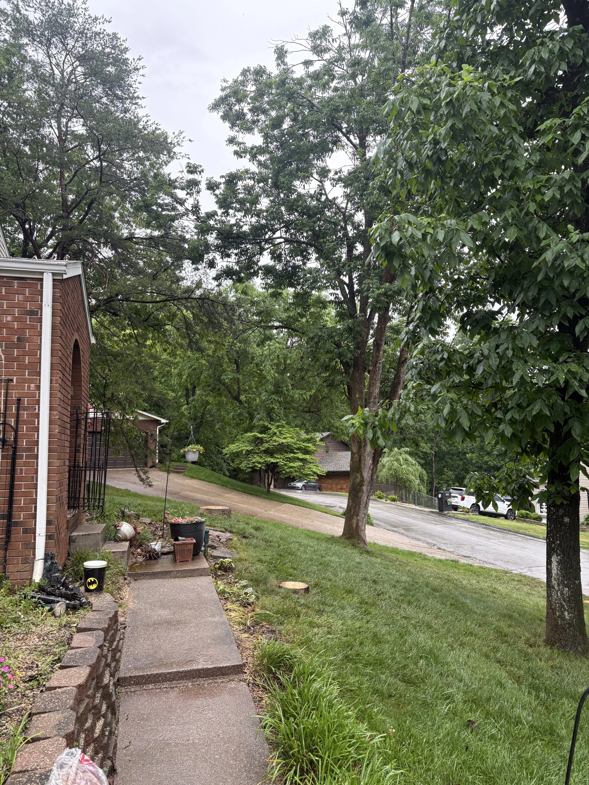 Cross Lanes, WV — Dead Maple Removal, After
Property after the dead maple was safely removed.