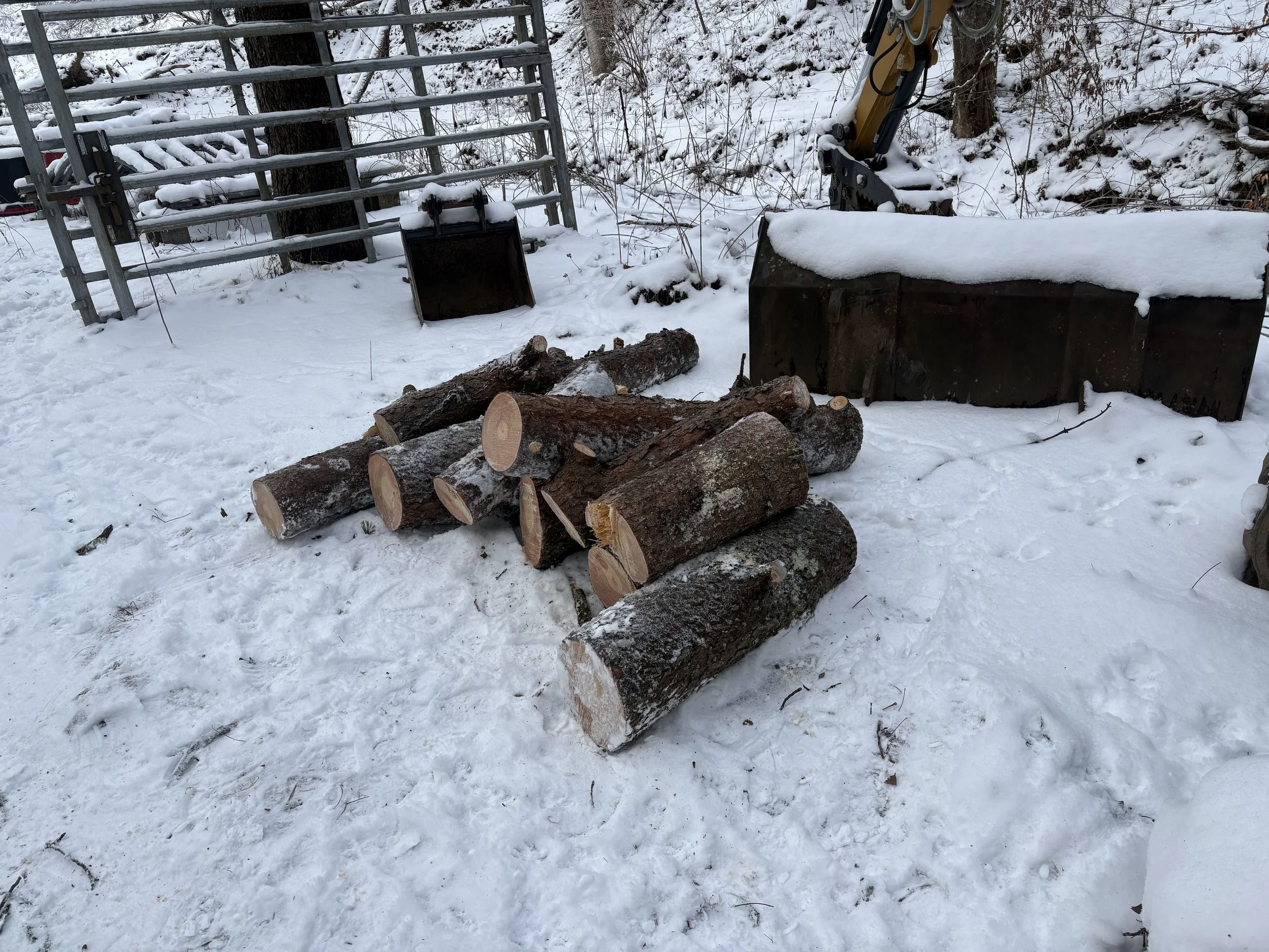 Elkview, WV — Debris Stacked After Removal
Cut wood stacked neatly after the storm-damaged pine was cleared.