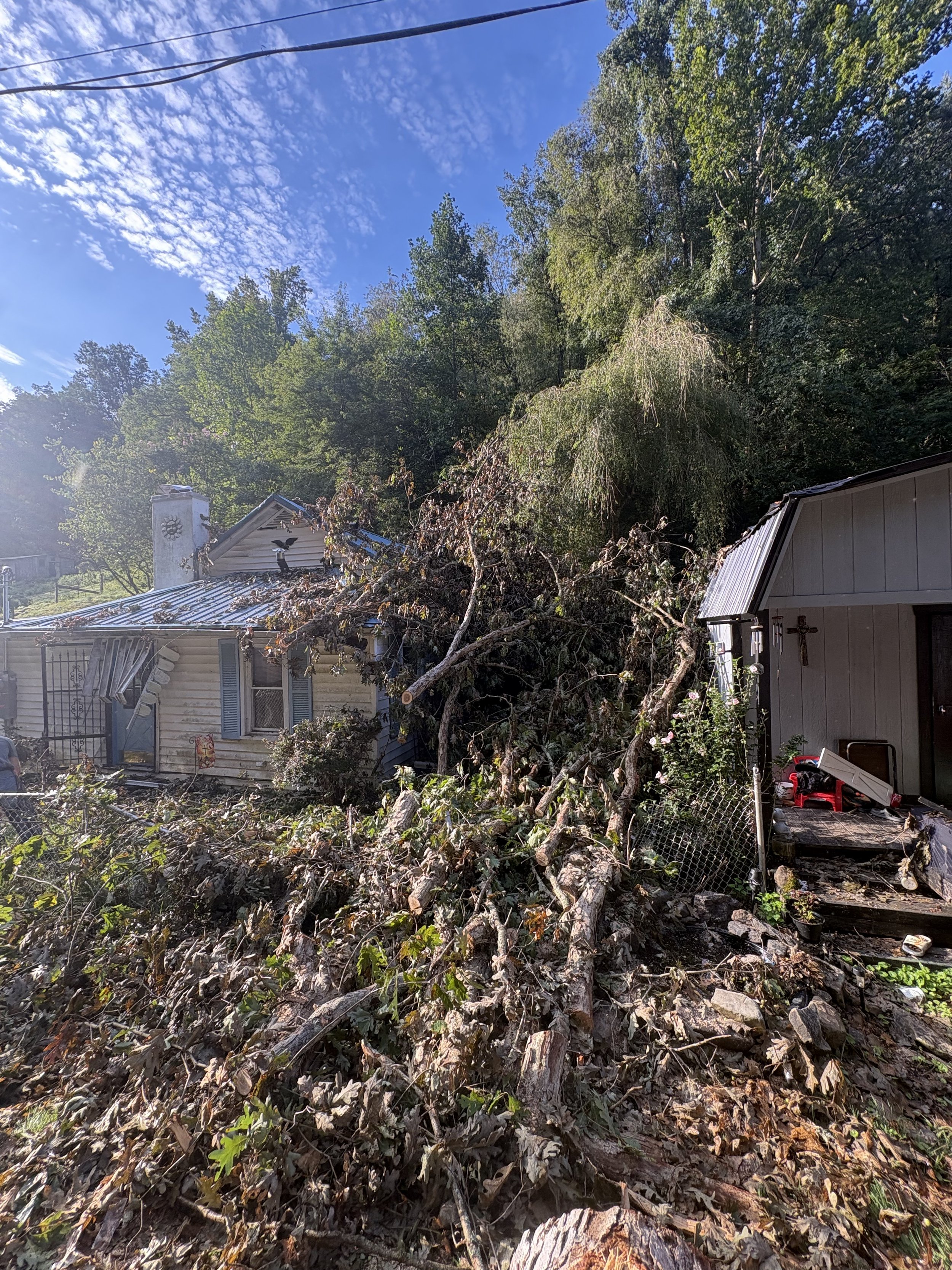 Quick, WV — Storm-Damaged White Oak, Before
White oak fell onto the home during a storm, creating an urgent removal situation.