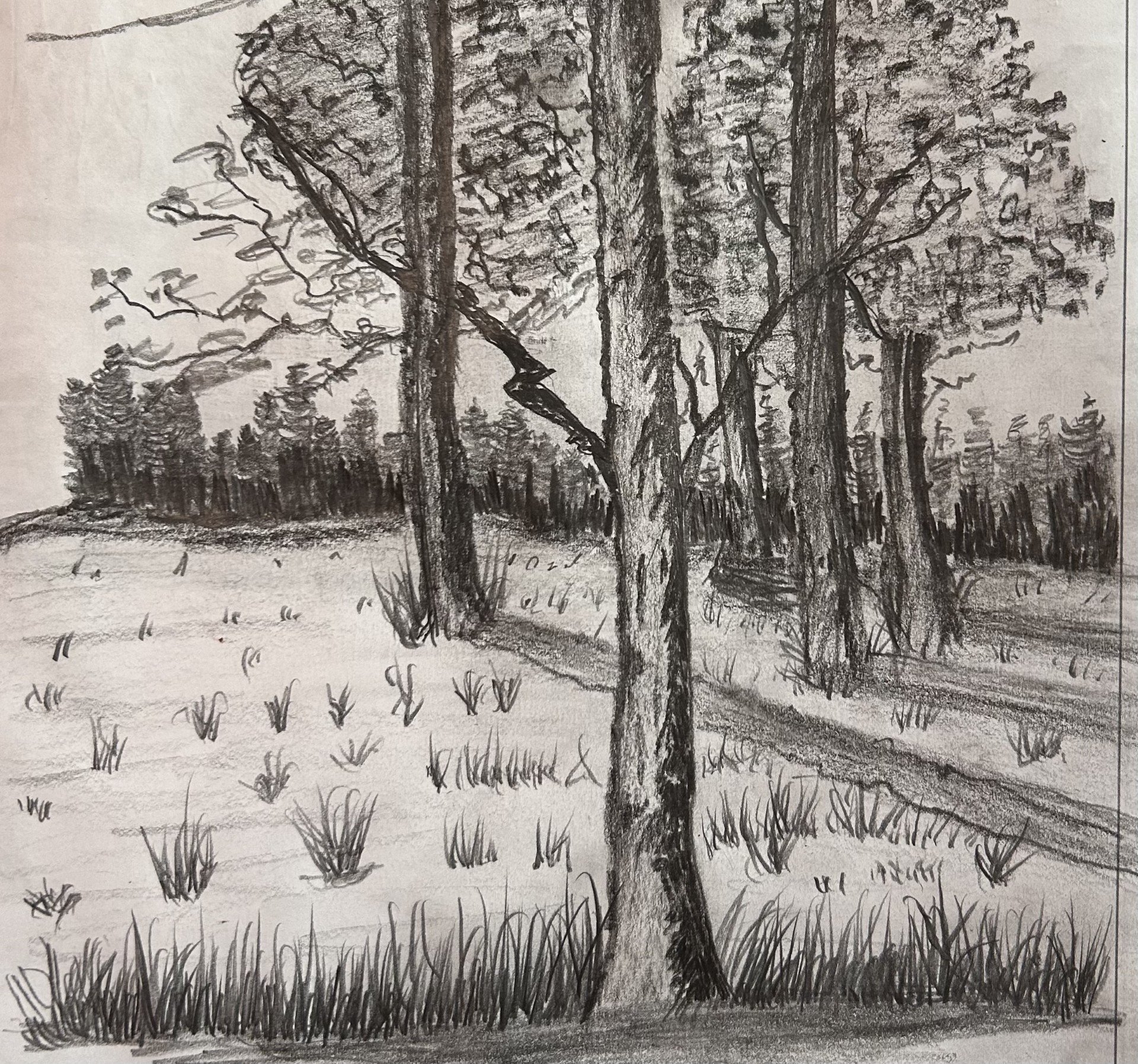 Among the Pines