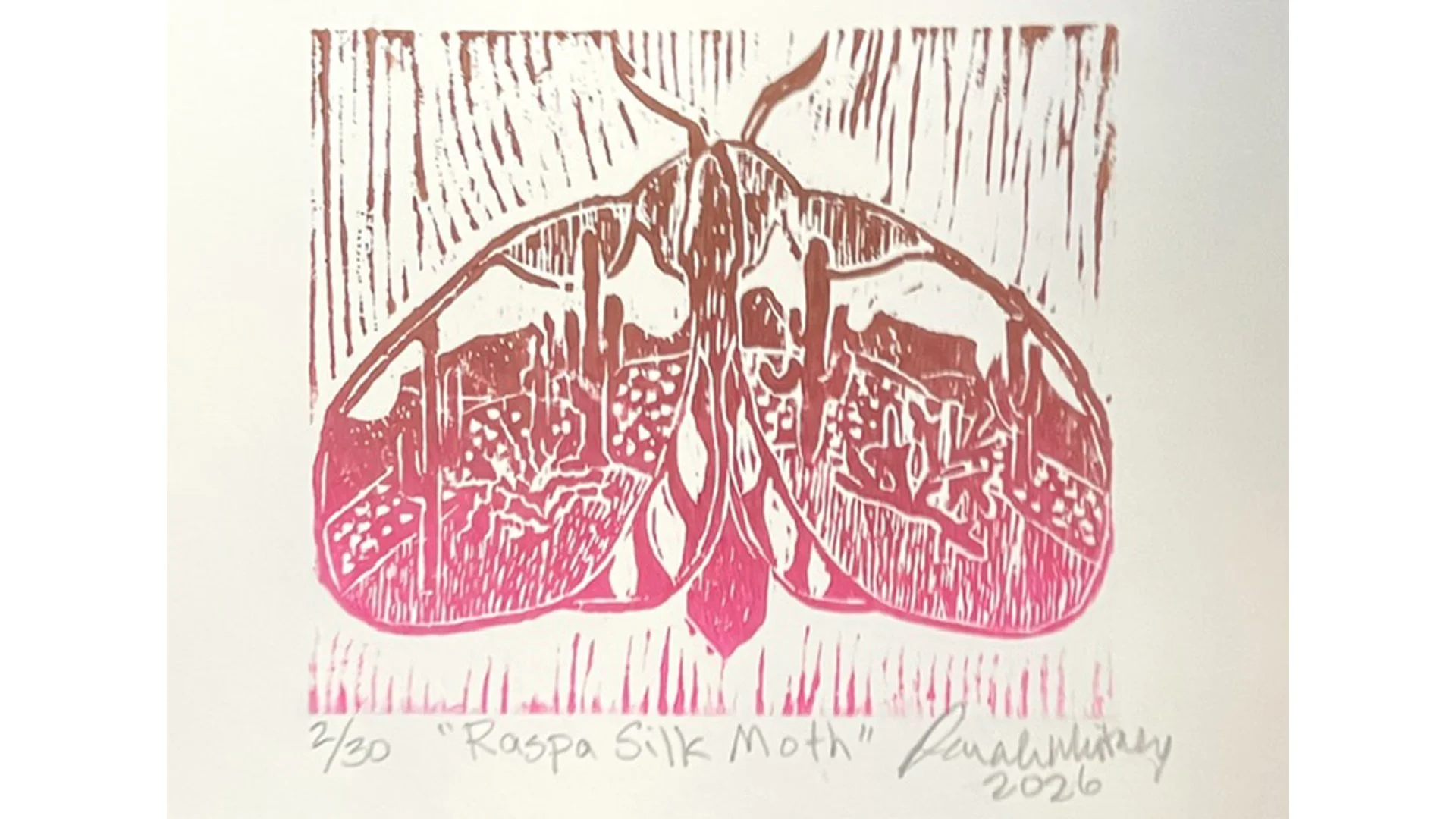 threshold_main_moth.jpg