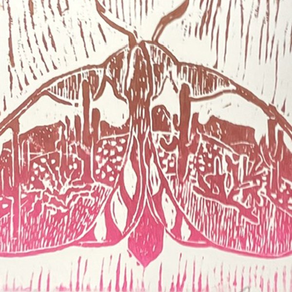 Sarah Howes Whitney, Raspa Sillk Moth