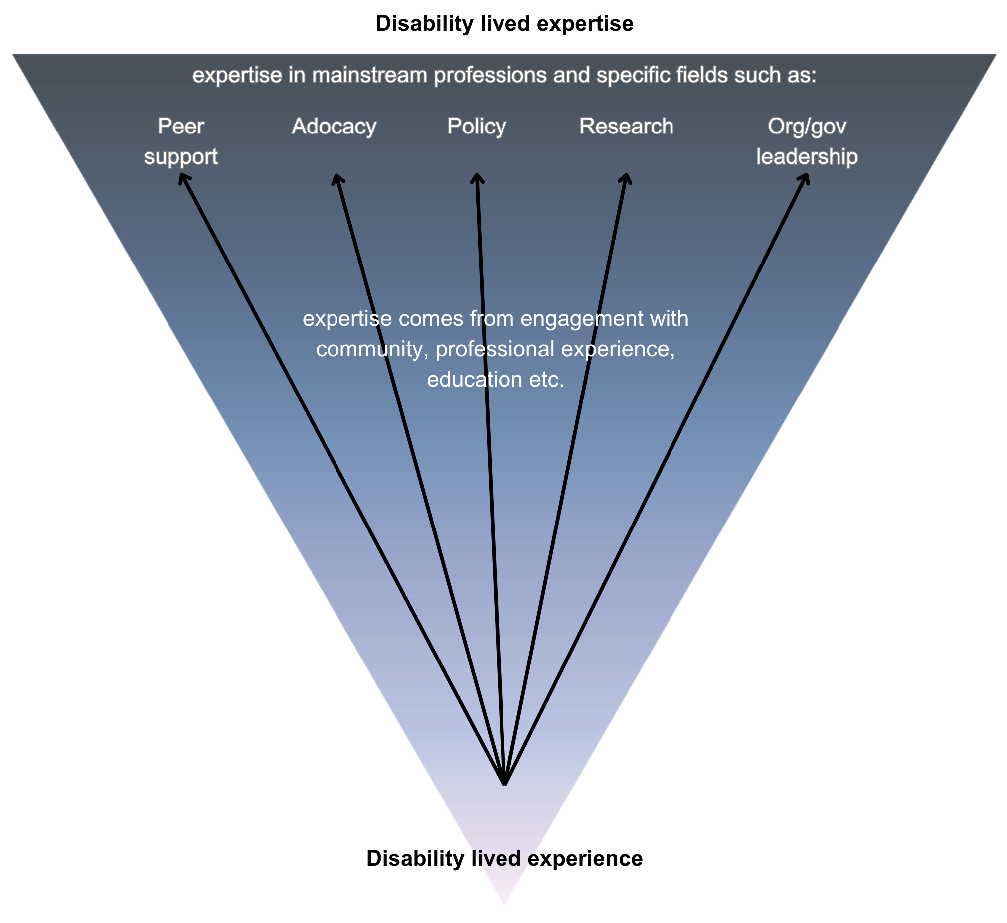 An inverted pyramid from Disability Lived Experience at the bottom to Lived Expertise at the top, showing it as a spectrum