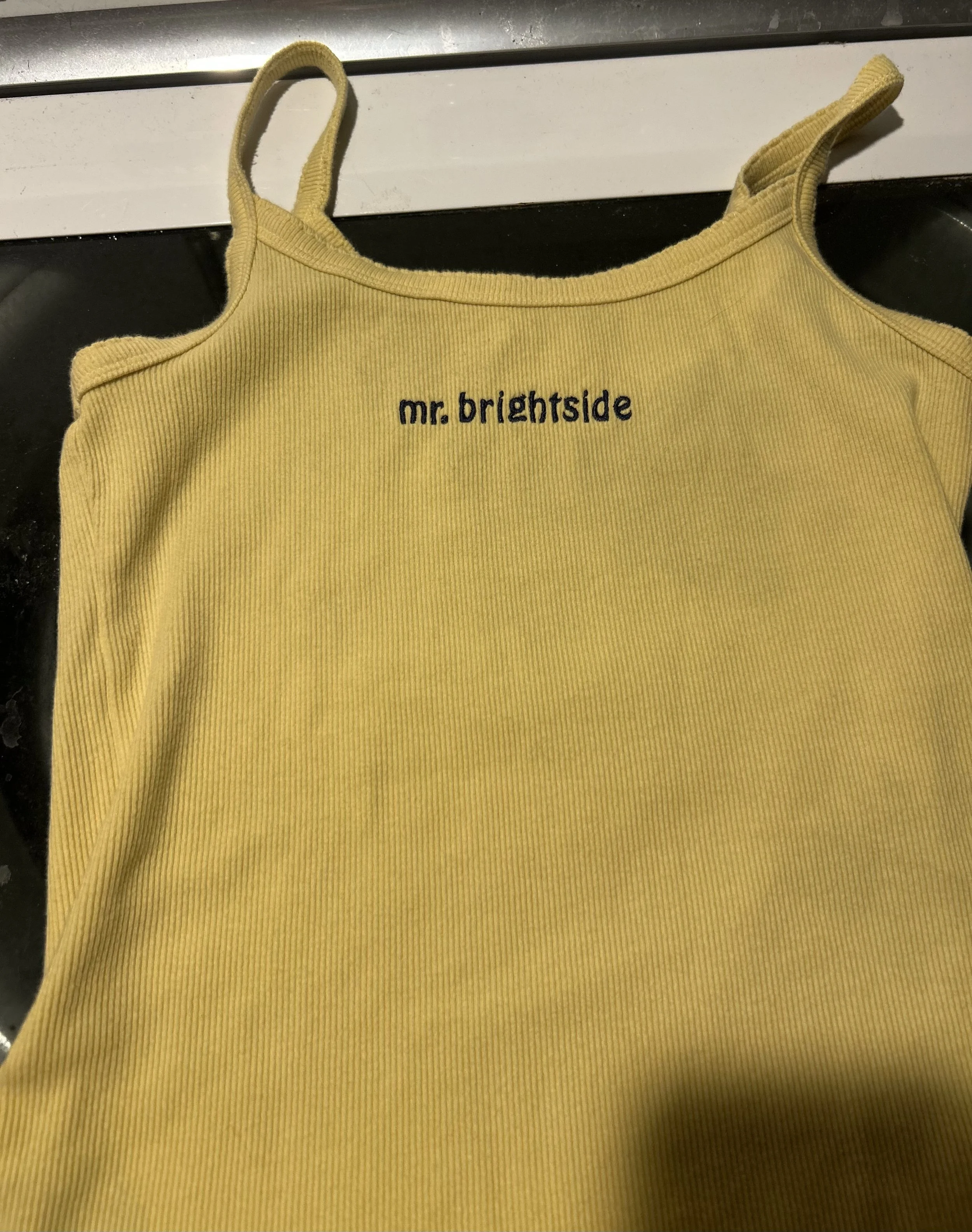Mr. Brightside University of Michigan Tank Top