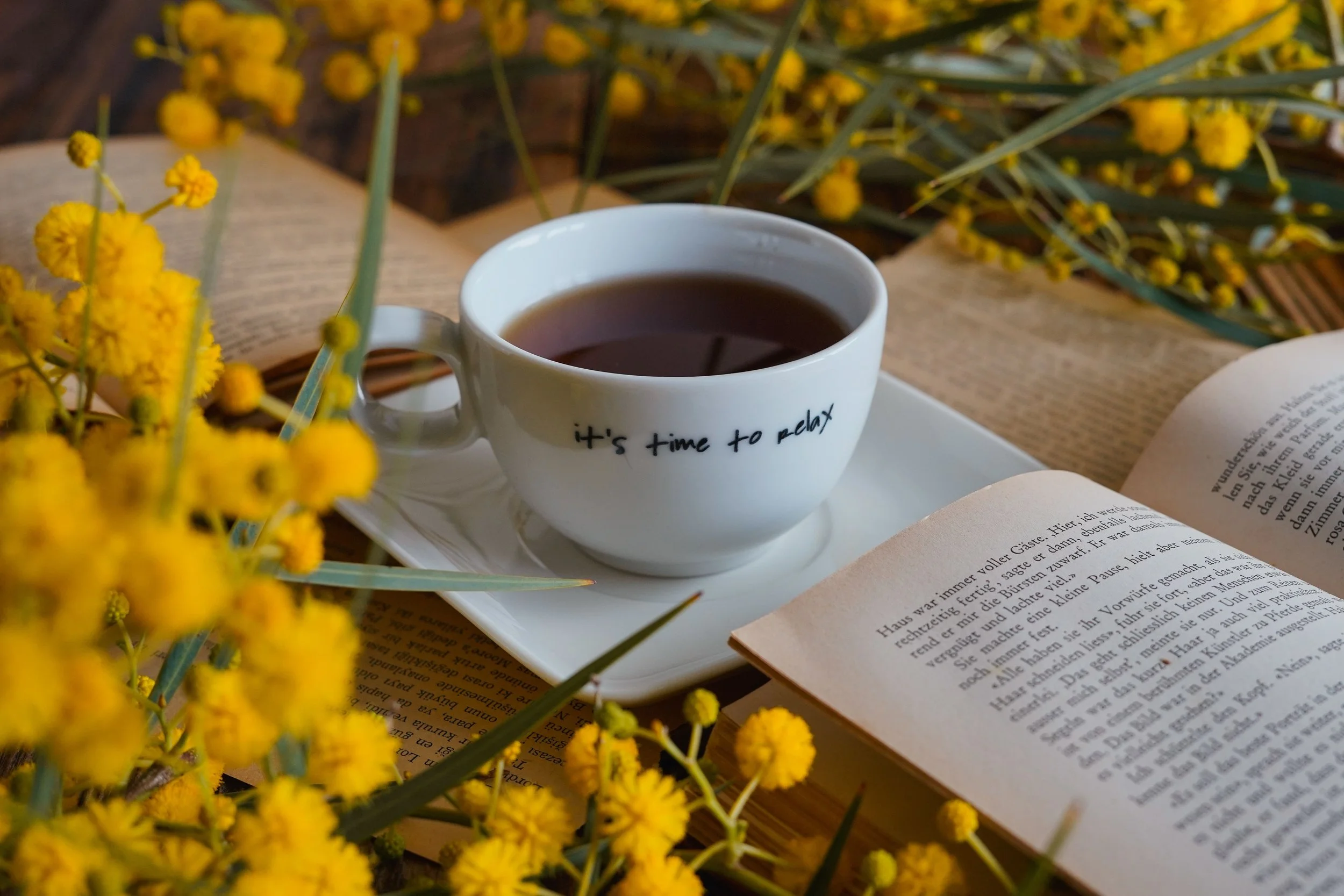 Hidden gems: 12 great books you may have missed