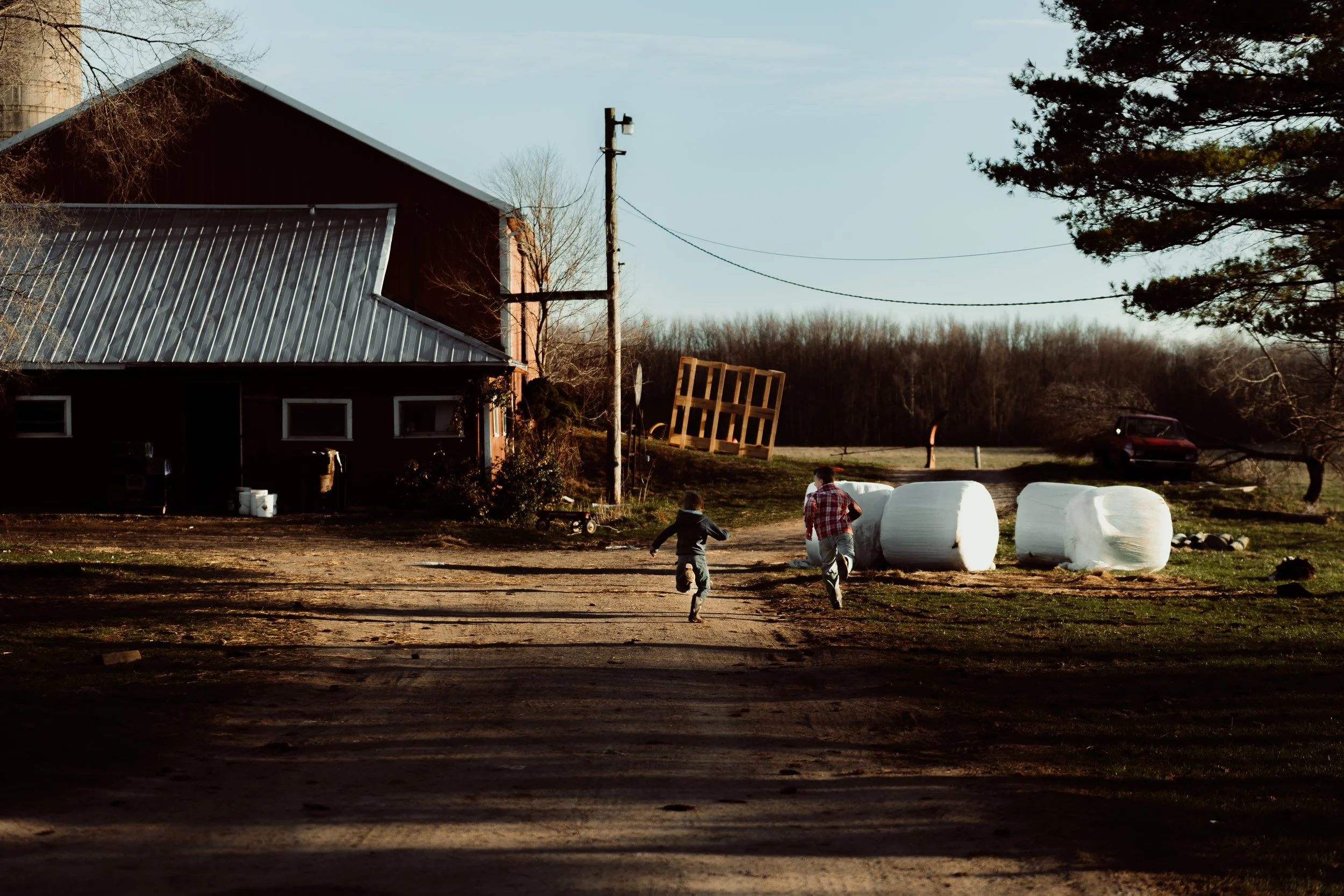 240321_BelprezFarm-VH-01550-2.jpg