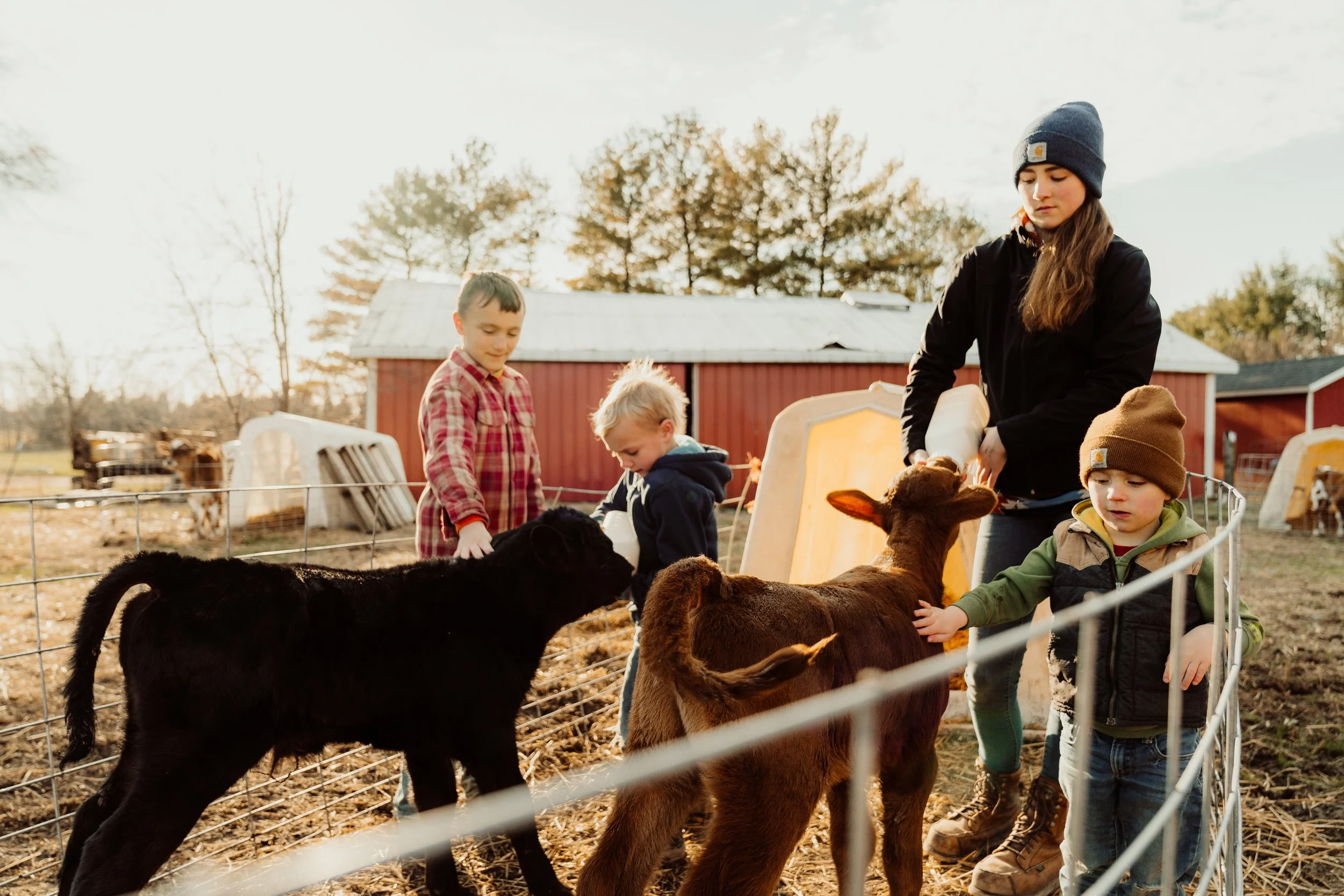 240321_BelprezFarm-VH-09744-2.jpg