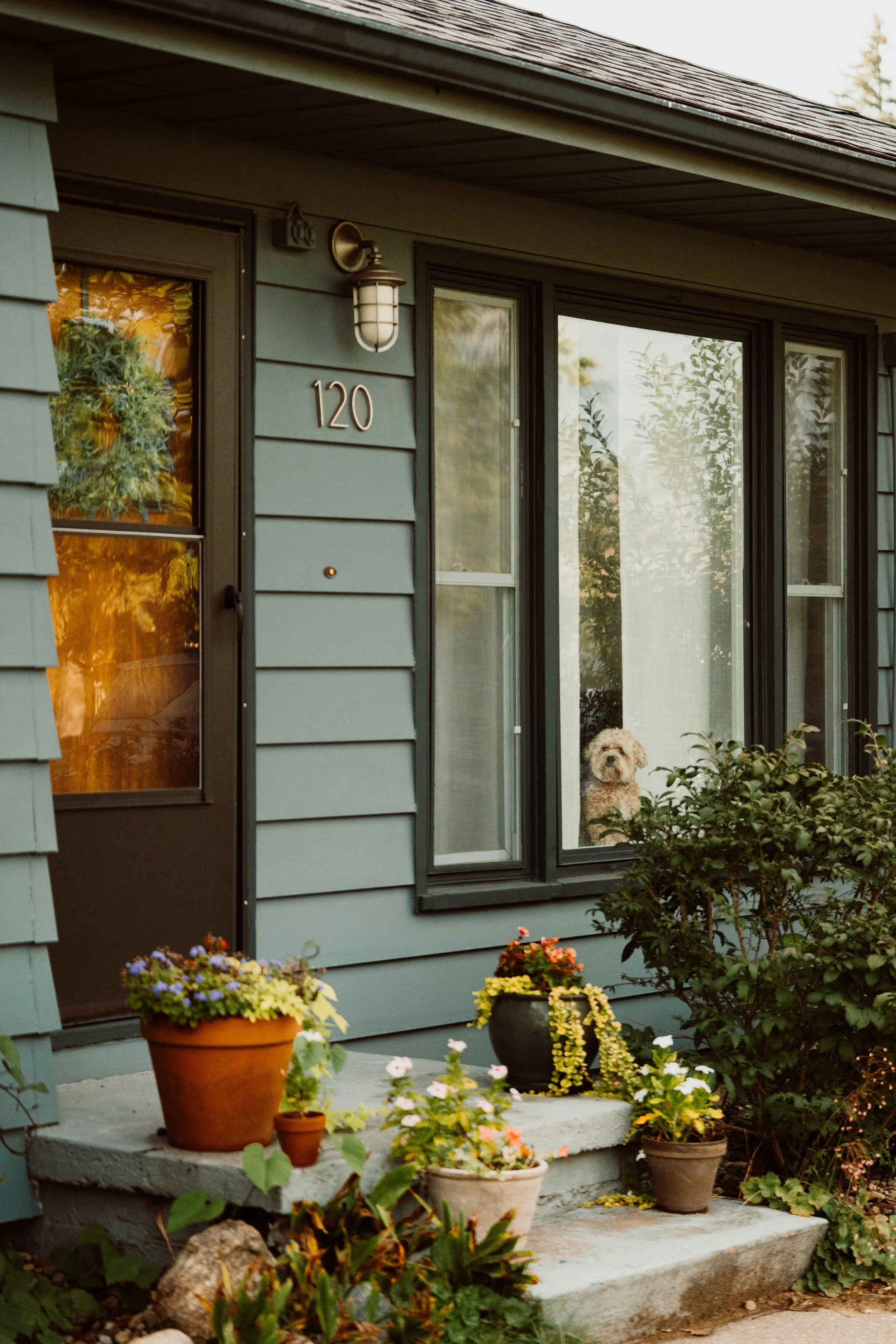 260907_MacklinFamily040.jpg