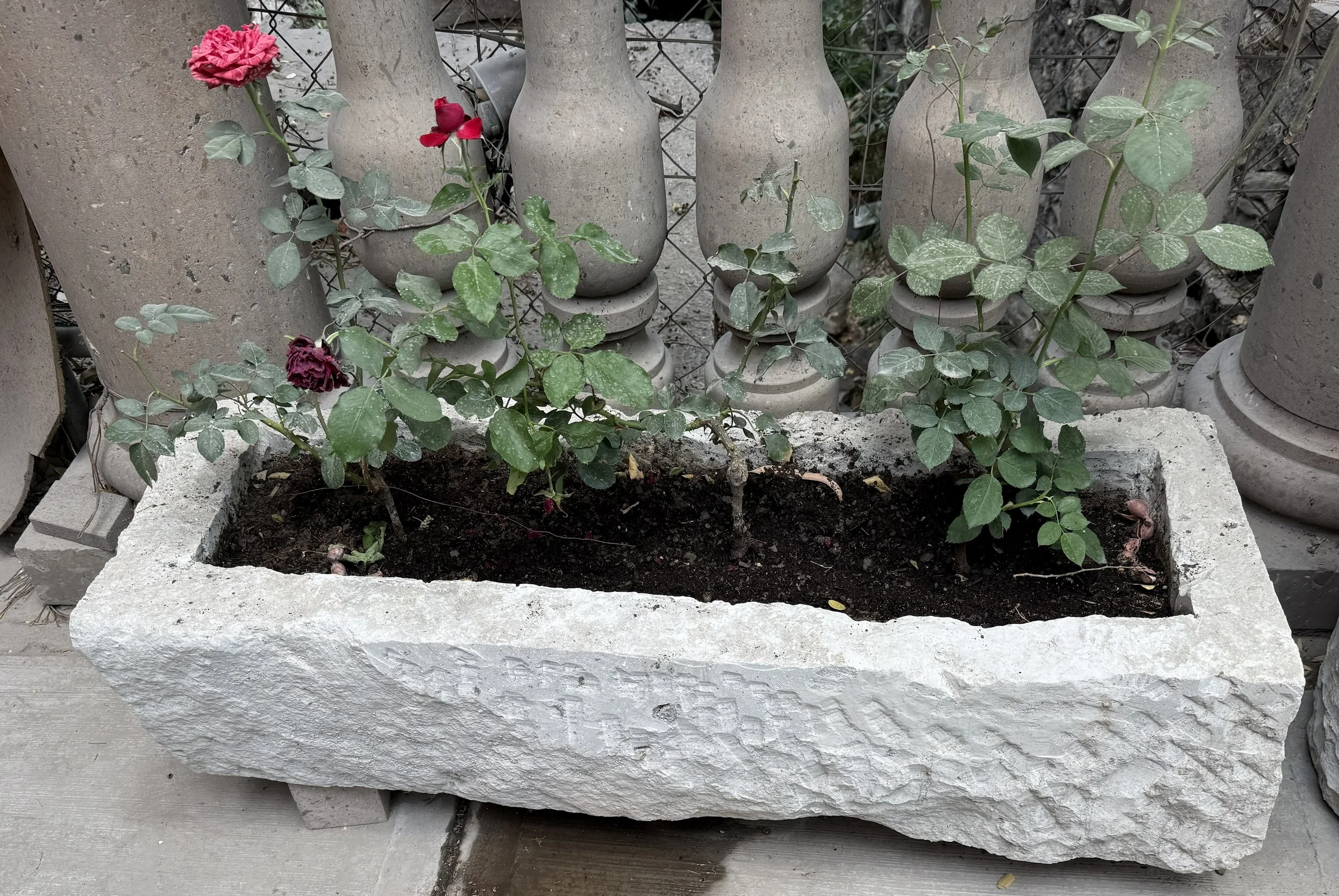 planter 2