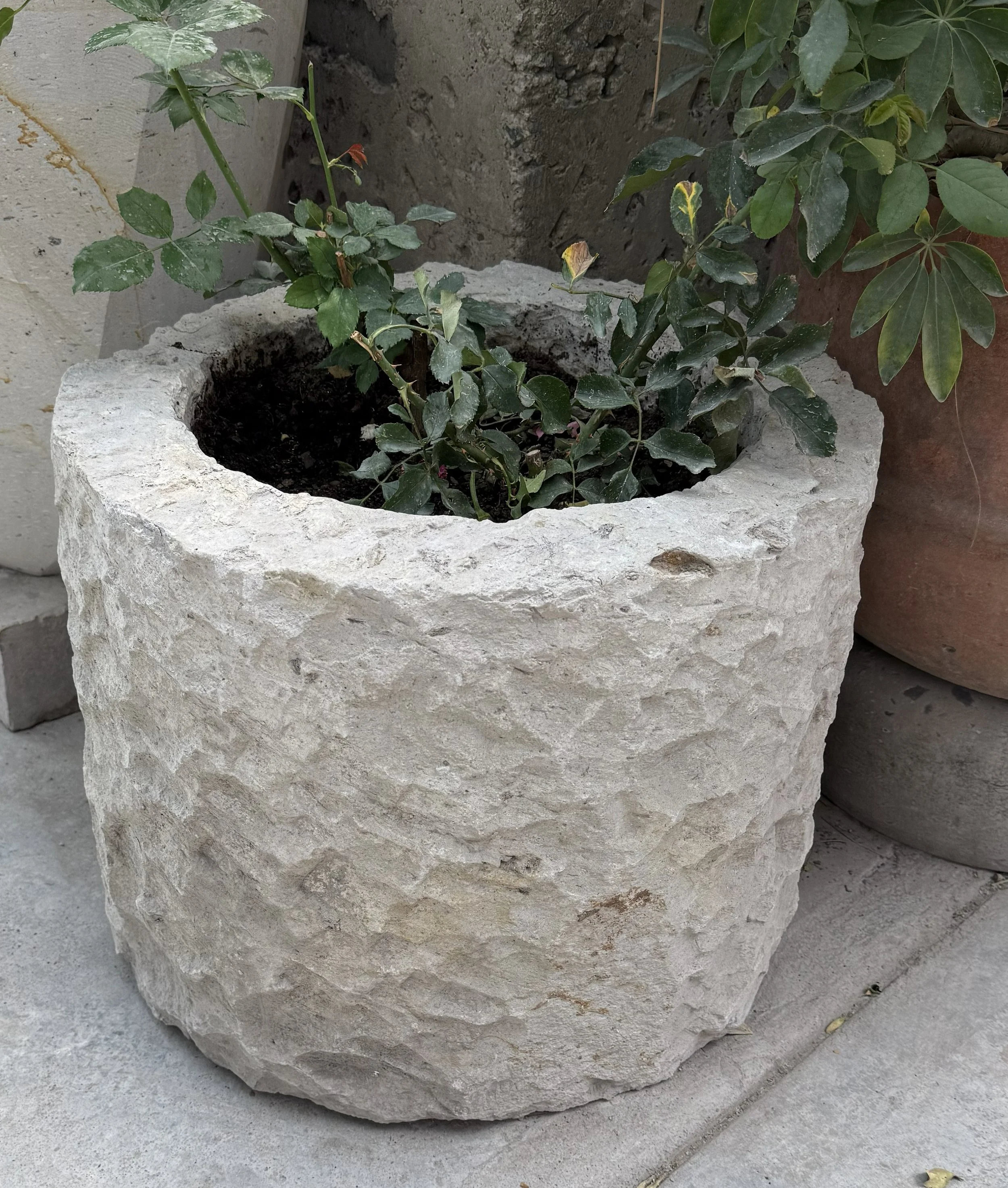 canterra round pot