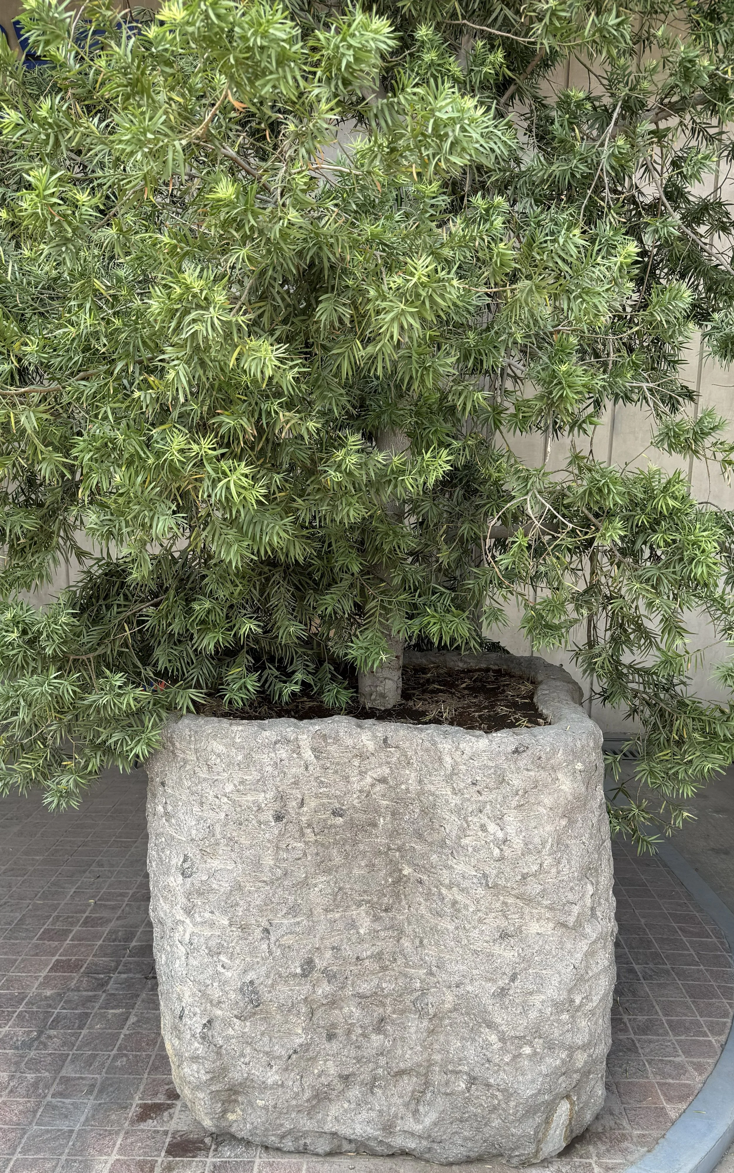 large limestone planter
