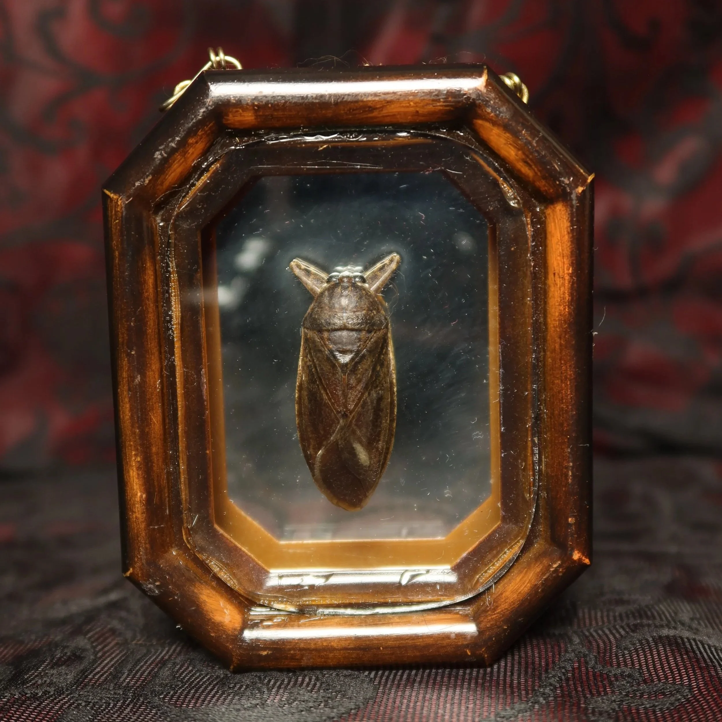 Close-up of a vintage wooden and glass-shaped clock with a beetle inside, mounted mirror.