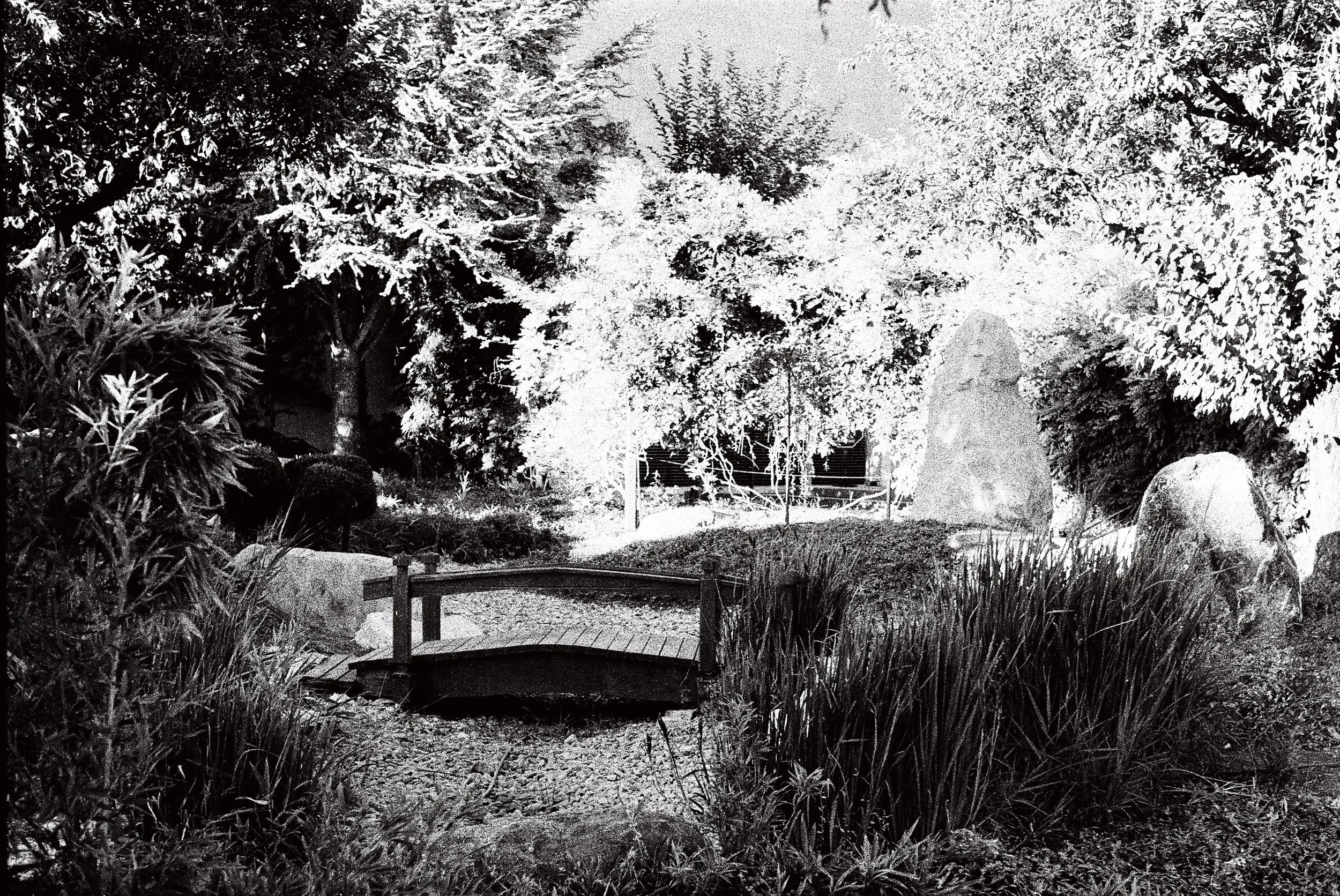Nighttime black-and-white photo of a garden with trees, bushes, and a small wooden bridge over a stream, illuminated by artificial lights.